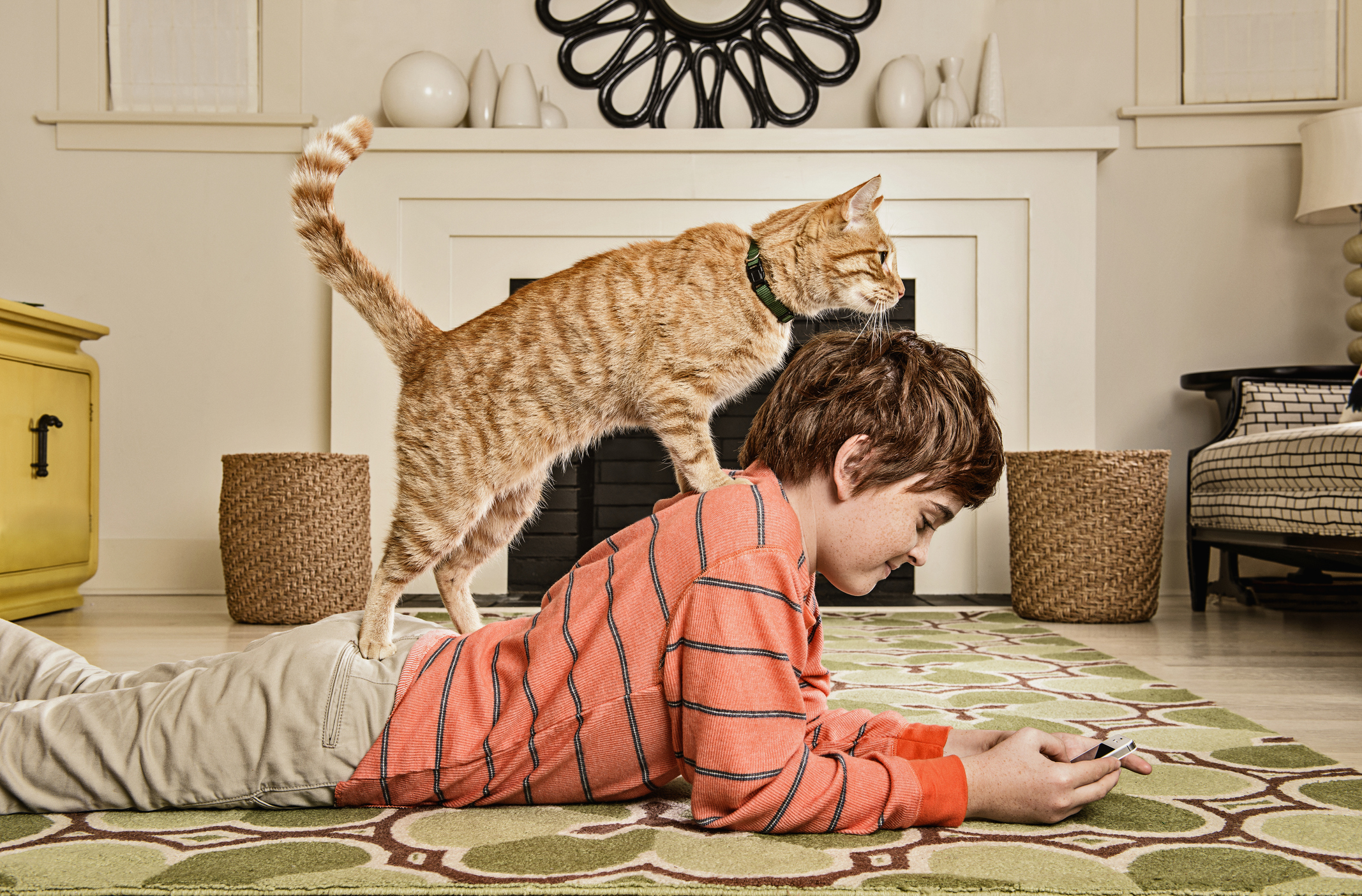 El gato como animal de compañía siempre estará jerárquicamente por debajo de los chicos teniendo en cuenta los niveles de organización familiares (Getty Images)