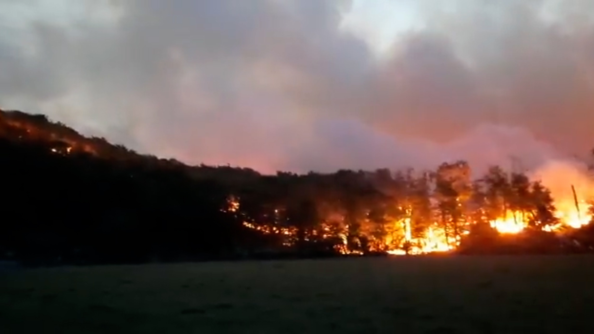 Incendio forestal en Tierra del Fuego: los bomberos continúan luchando contra las llamas