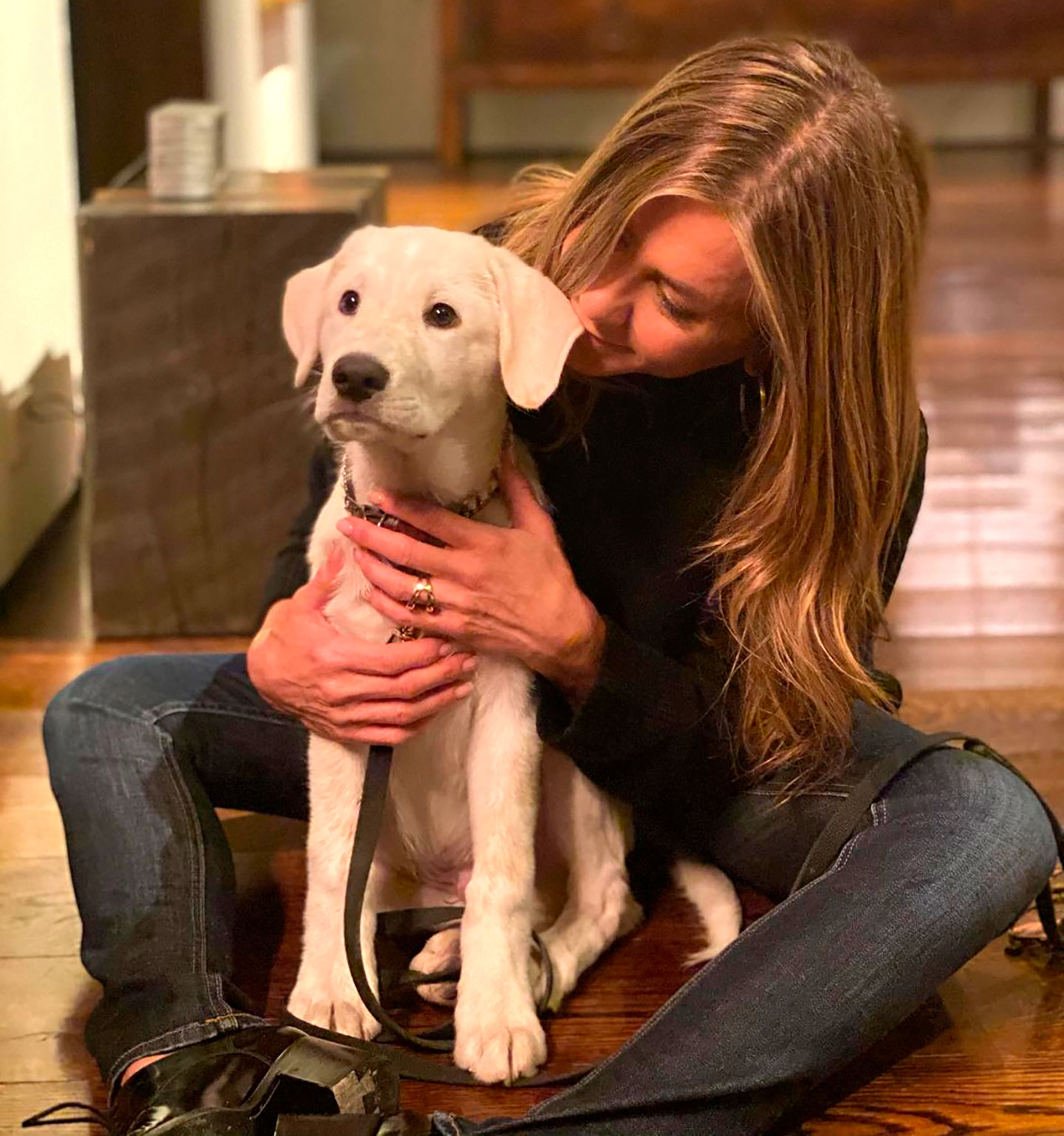 Jennifer Aniston con su cachorro  Lord Chesterfield (@jenniferaniston)