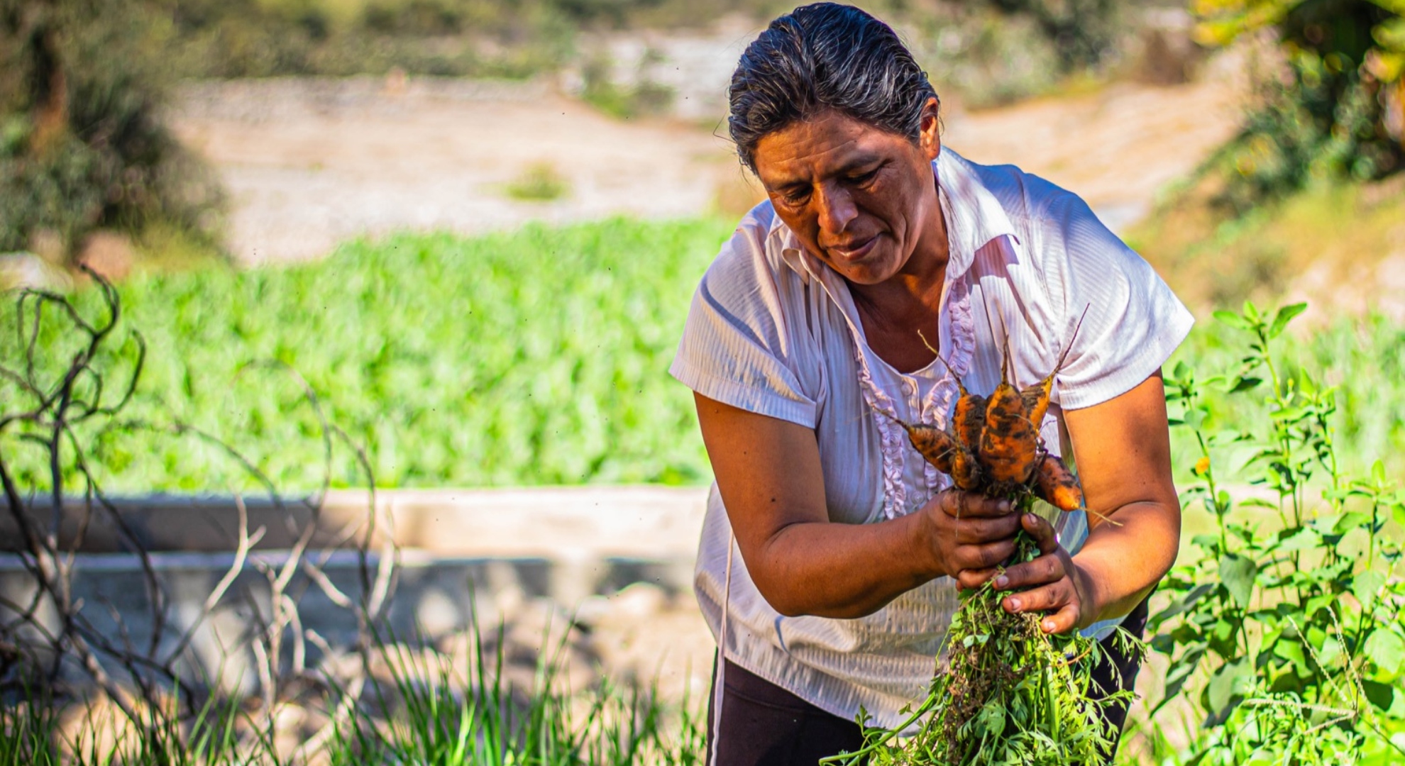 ‘Ella alimenta al mundo’, un proyecto que busca empoderar a la mujer agricultora