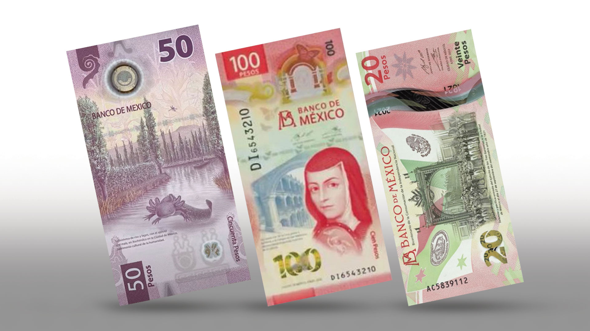 Los tres nuevos billetes con los precios más exorbitantes por internet en 2021: superan juntos los 200 mil pesos 