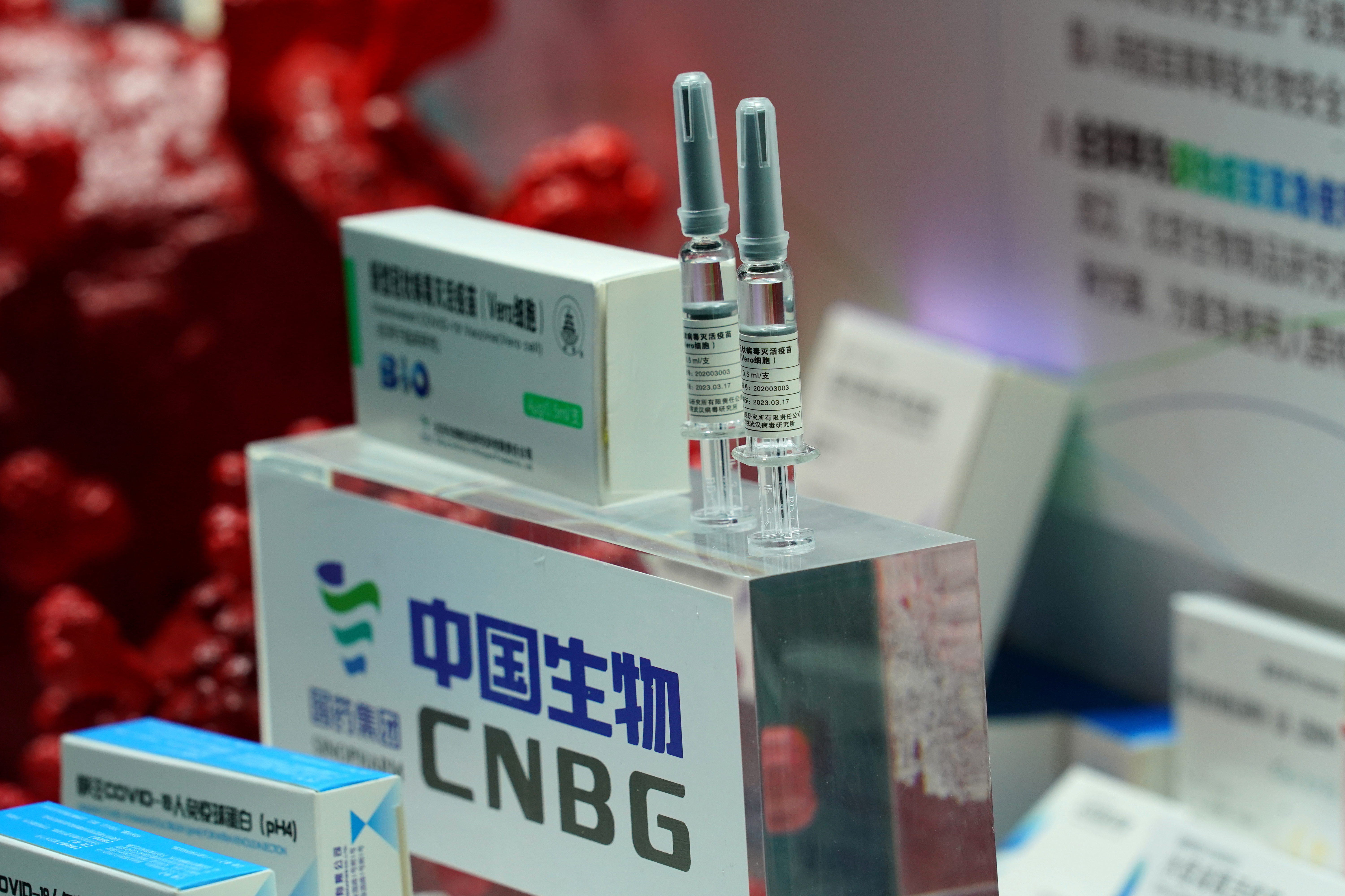Las vacunas inactivadas utilizan la versión muerta del germen que causa una enfermedad. Algunos ejemplos de vacunas de este tipo son las de Hepatitis A, Gripe, Polio (vacuna inyectable Salk) y Rabia (REUTERS/Tingshu Wang)