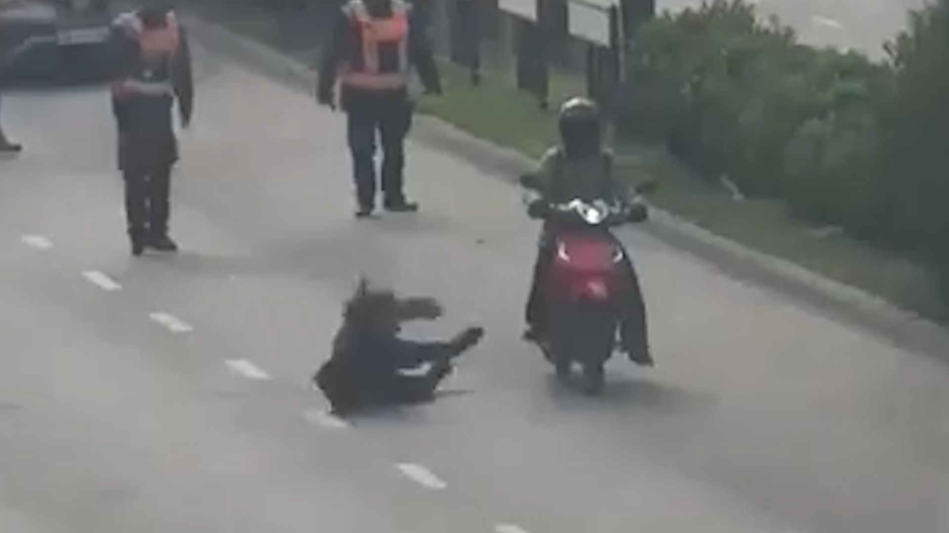 Video: atropelló a una inspectora de tránsito, se fugó y terminó detenida tras una intensa persecución