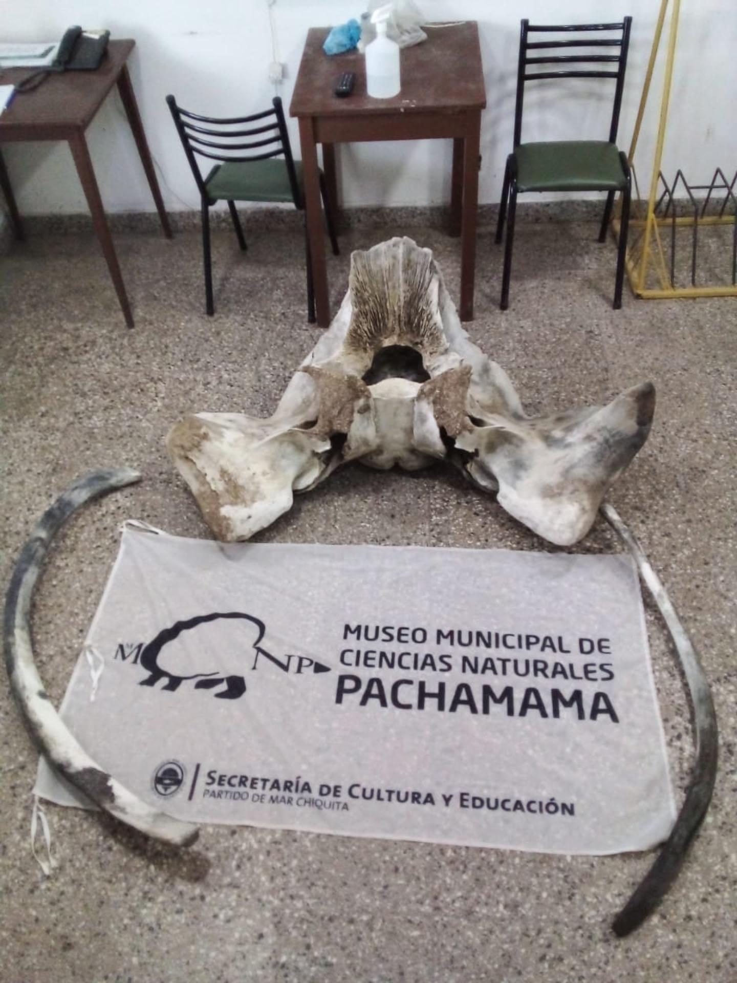 Museo Municipal de Ciencias Naturales Pachamama de Santa Clara