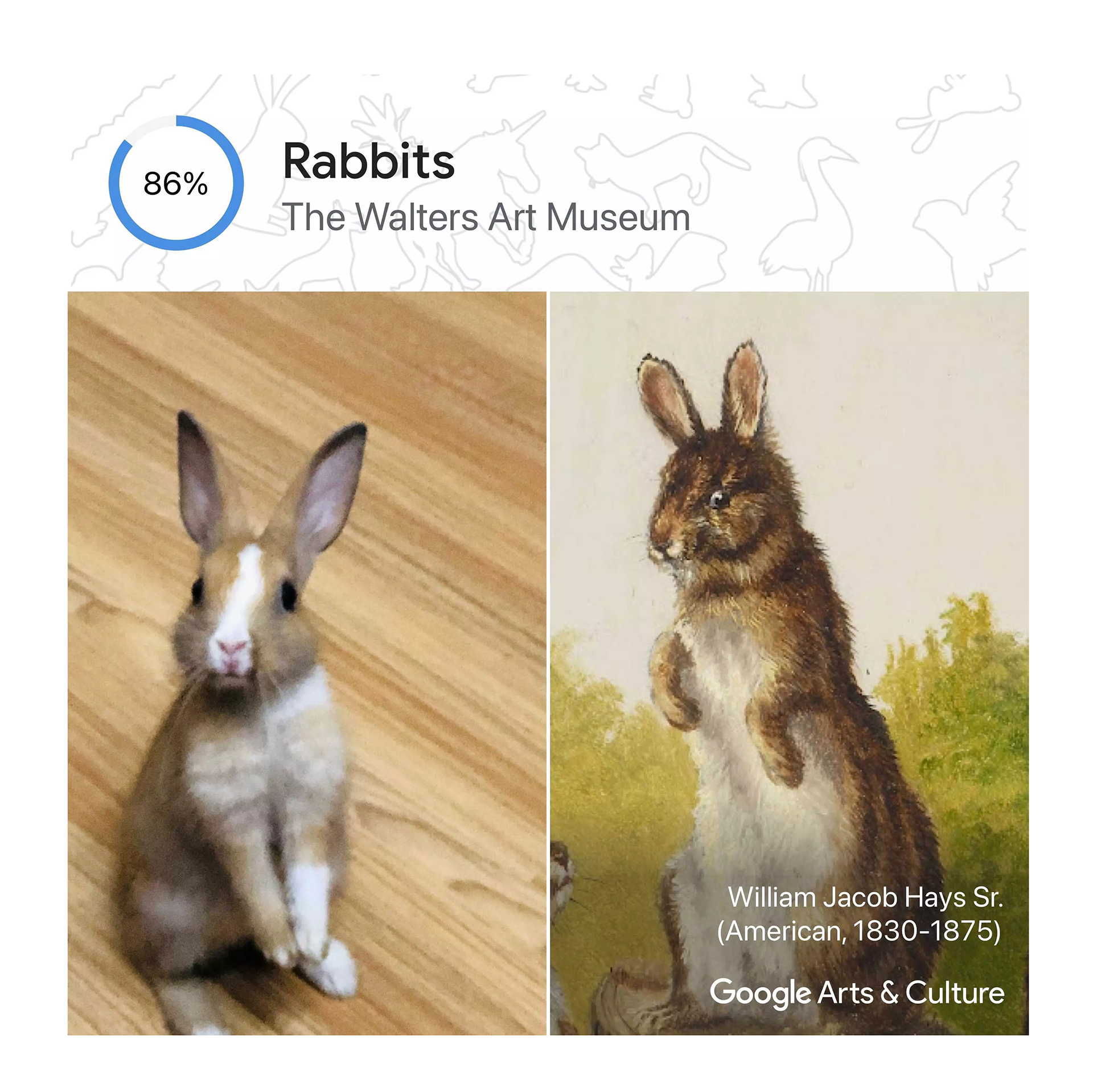 La app Pet Portraits permite conocer también la historia del animalito retratado y del artista que lo pintó