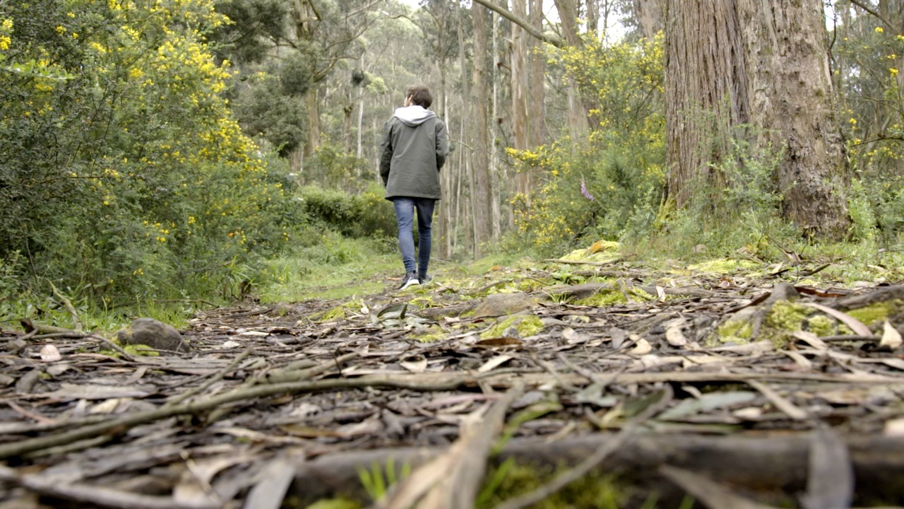 Estos Son Los Senderos En Los Cerros Orientales Que Puede Visitar En Bogotá Infobae