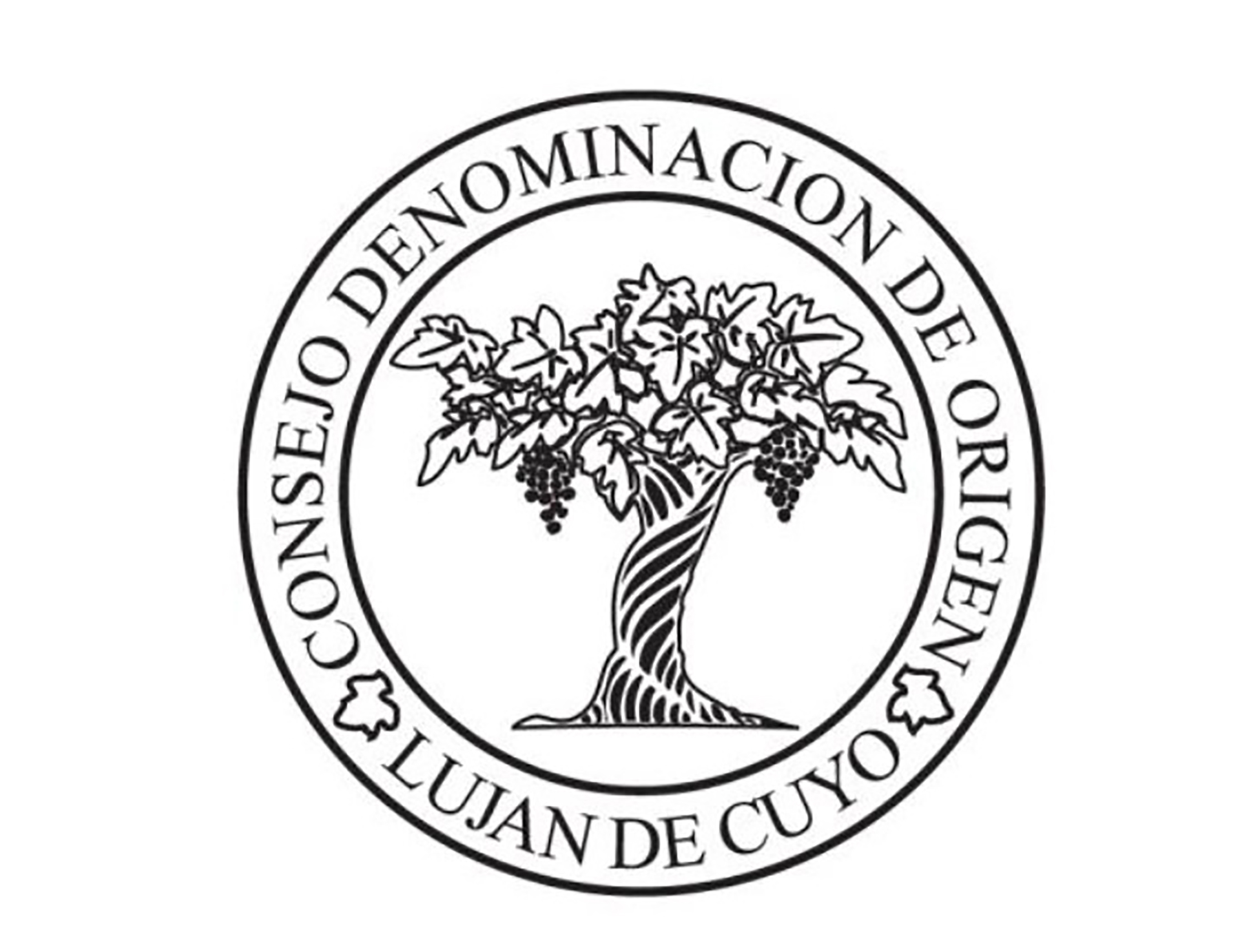 Para ser aprobado por la D.O.C. Luján de Cuyo, un vino se debe cumplir con 10 requisitos