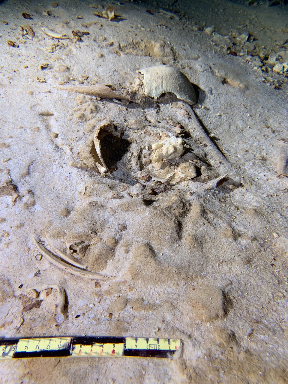 El fósil estaba en una de las cuevas subterráneas que corren riesgo por el Tren Maya (Foto: Sélvame del Tren)