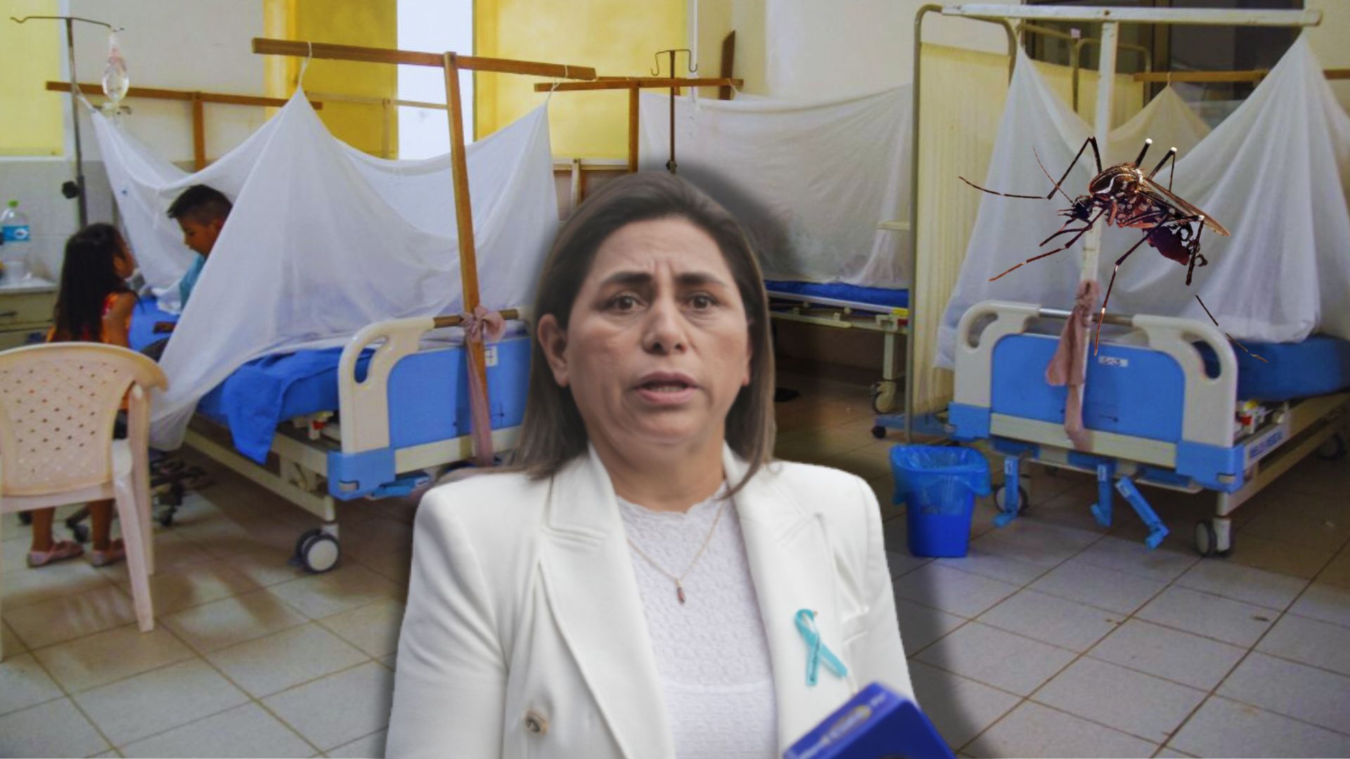 Declaran en Piura ‘persona no grata’ a ministra de Salud y anuncian paro por dengue