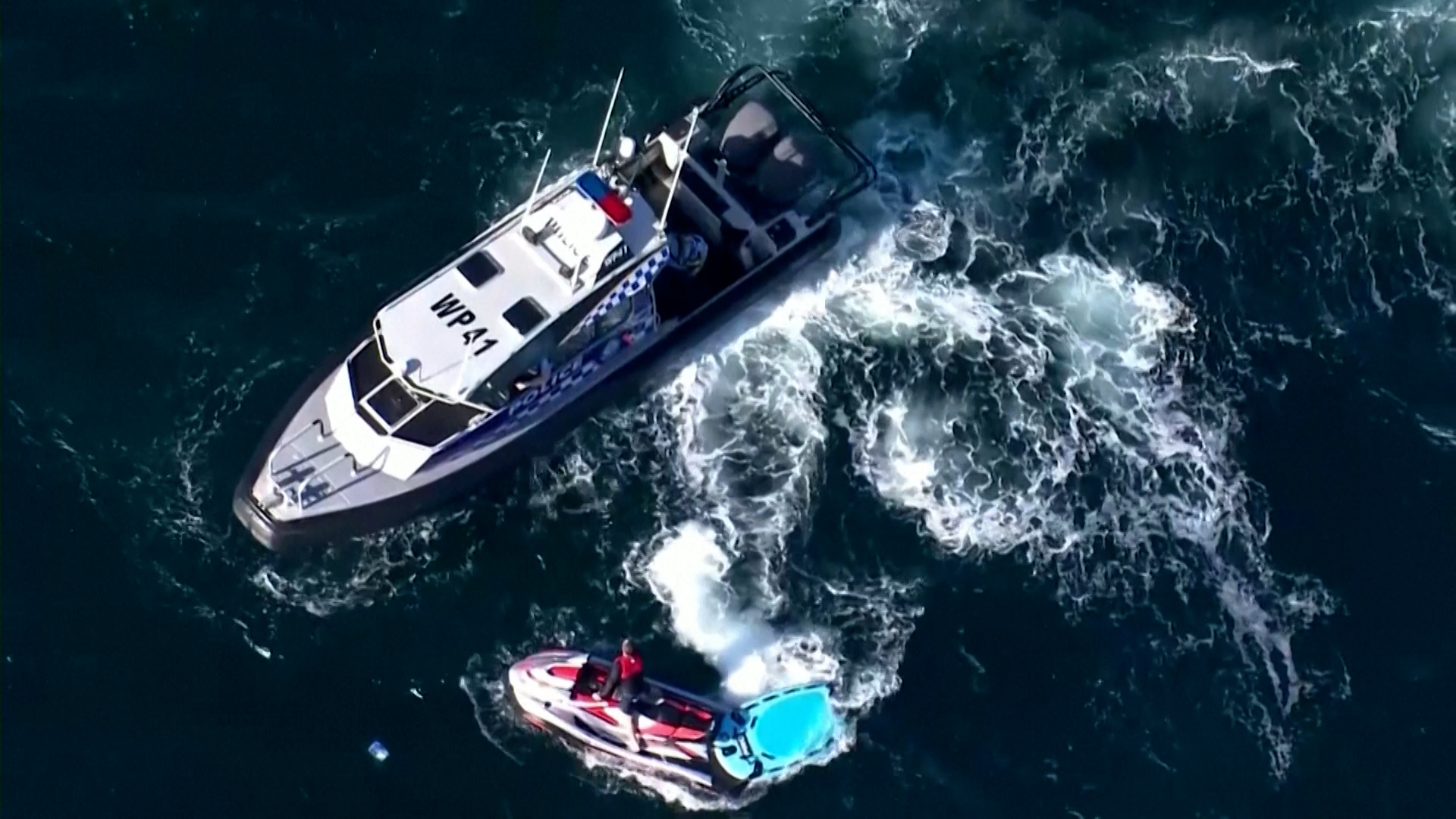 El trágico momento en que un nadador fue devorado por un tiburón blanco en Sídney