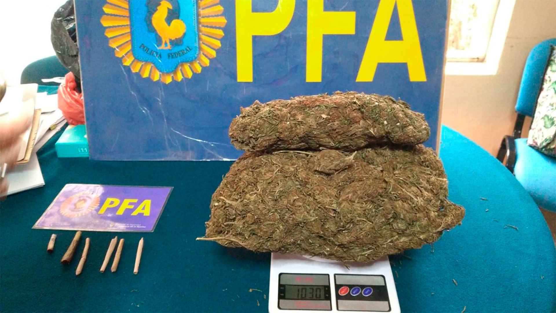 La marihuana secuestrada por la PFA en el colegio 