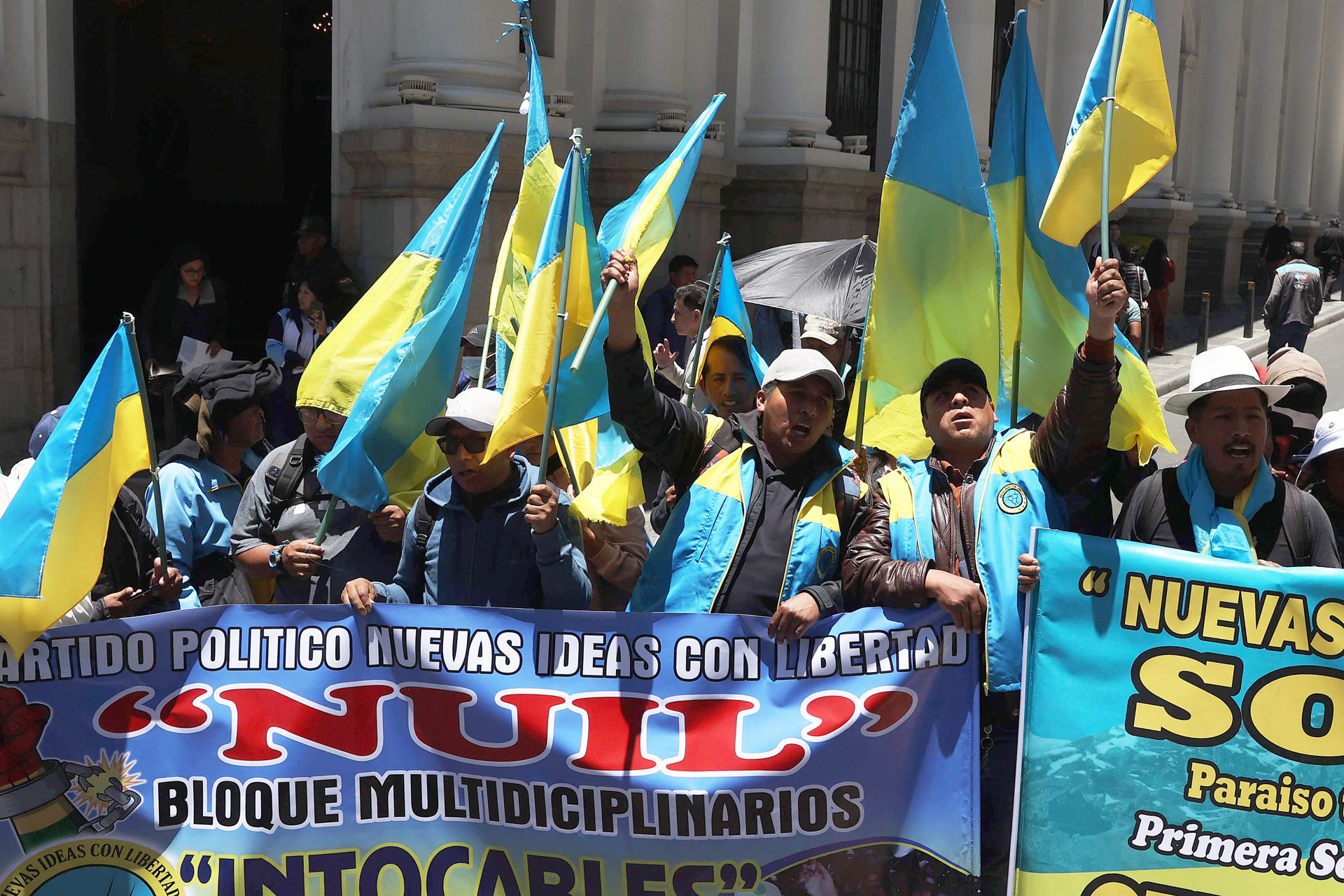 Milei cree que el Senado aprobará la suspensión de las PASO y el Gobierno mira con atención Ficha Limpia