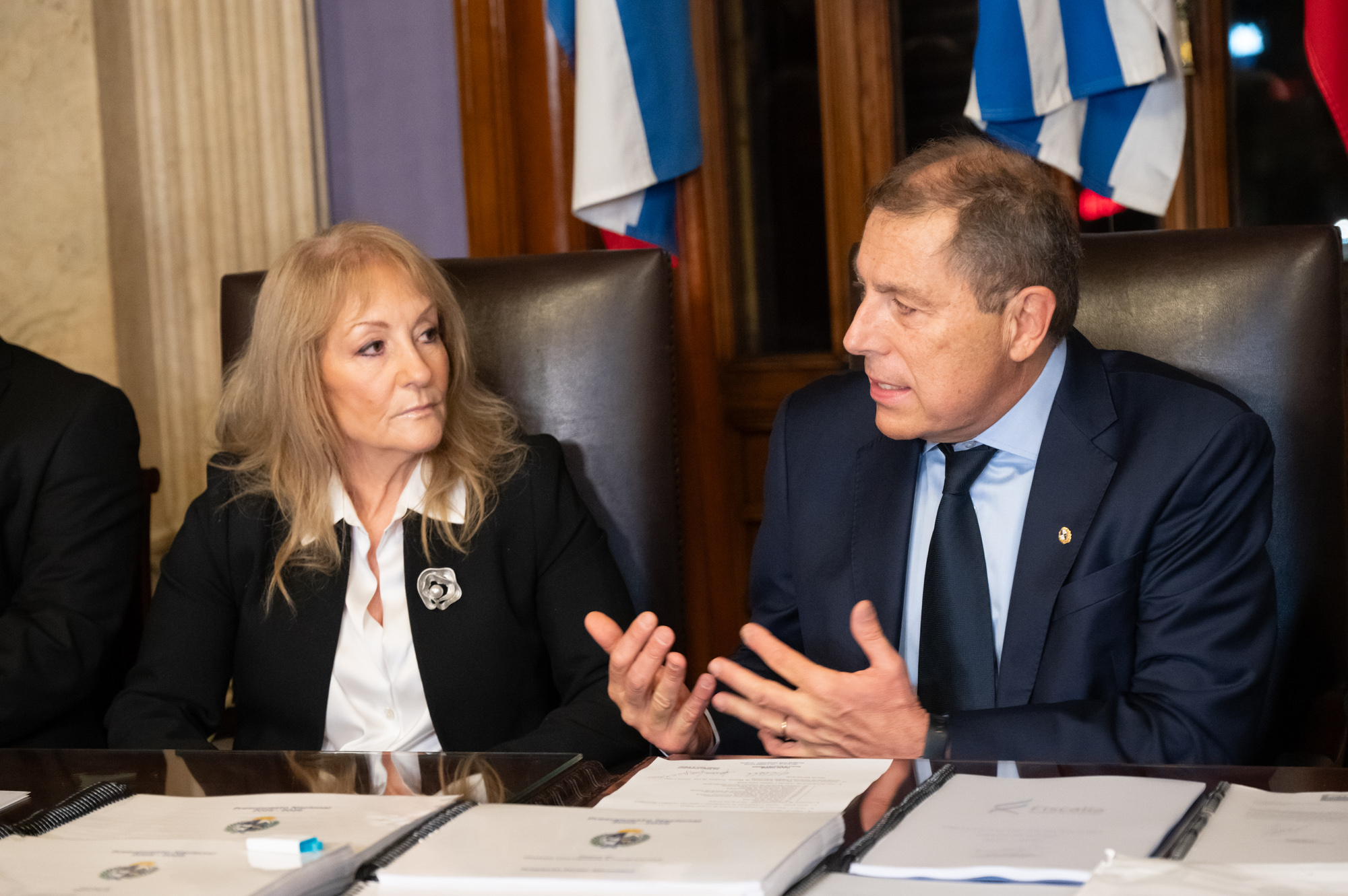 El Gobierno cubrió más del 90% de los vencimientos en la licitación de deuda en pesos