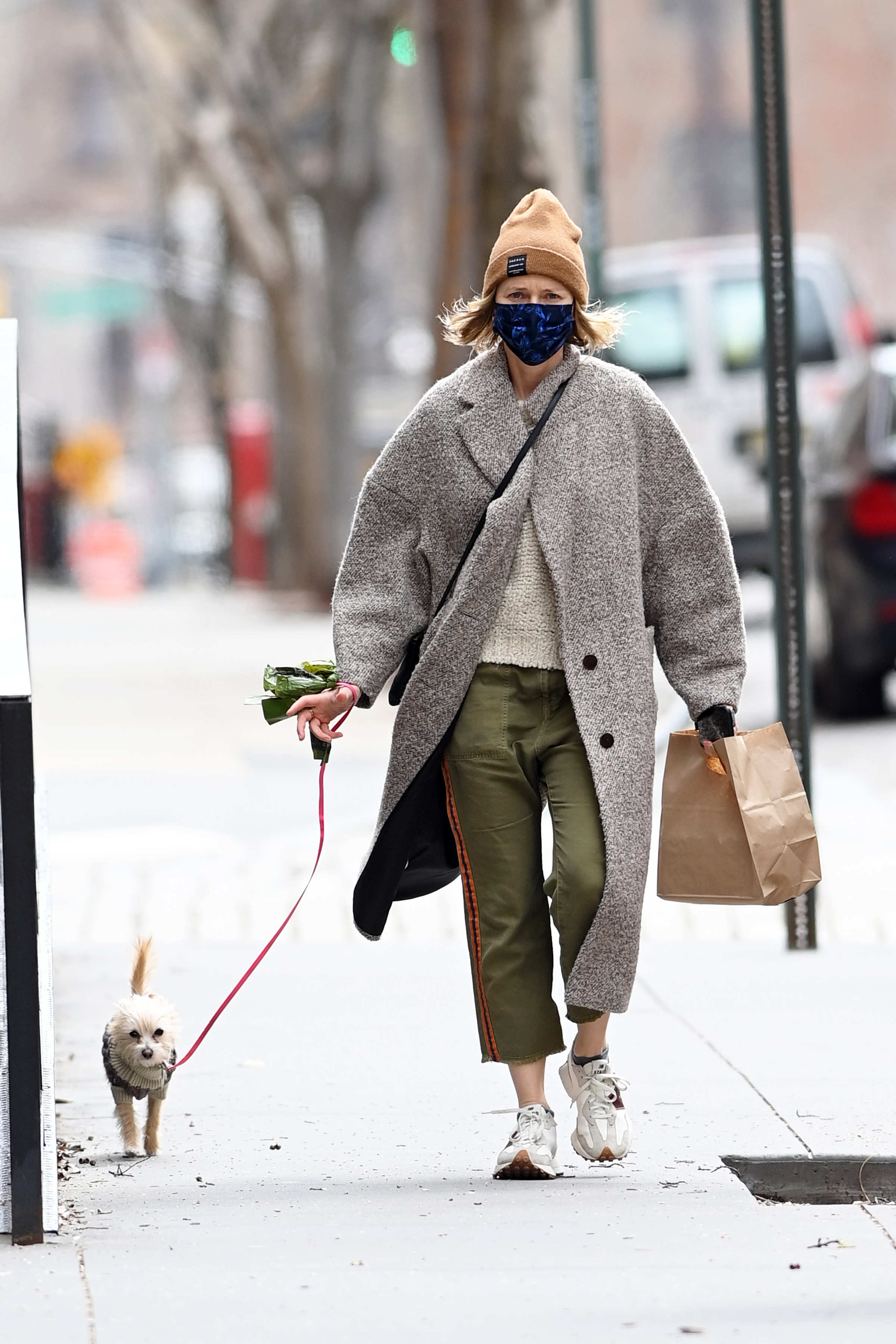Naomi Watts sacó a pasear a su perro por las calles de Nueva York. La actriz lució un pantalón verde, sweater blanco, tapado gris y gorro de lana marrón