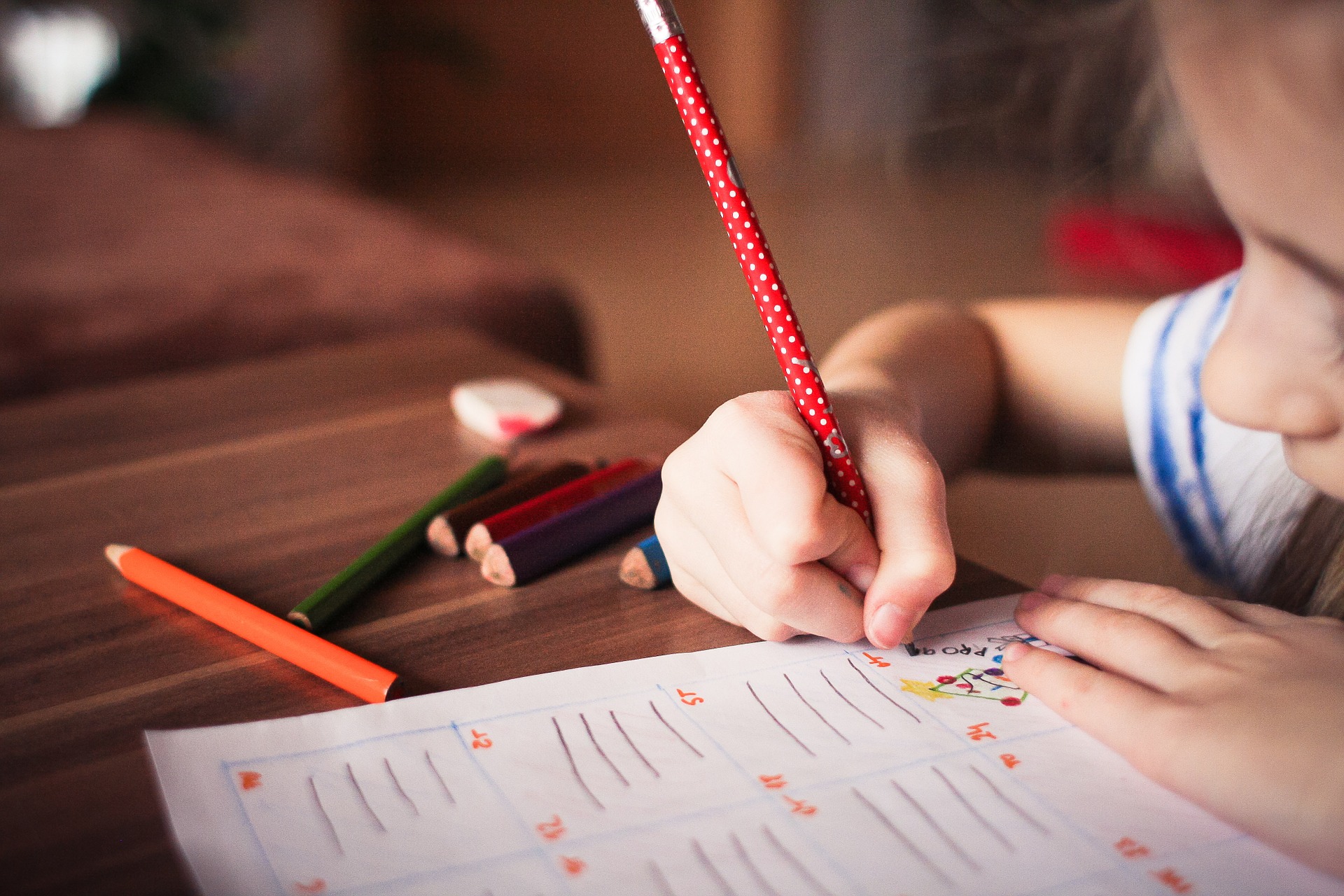 Una alumna realiza sus actividades escolares. (Foto: Pixabay)