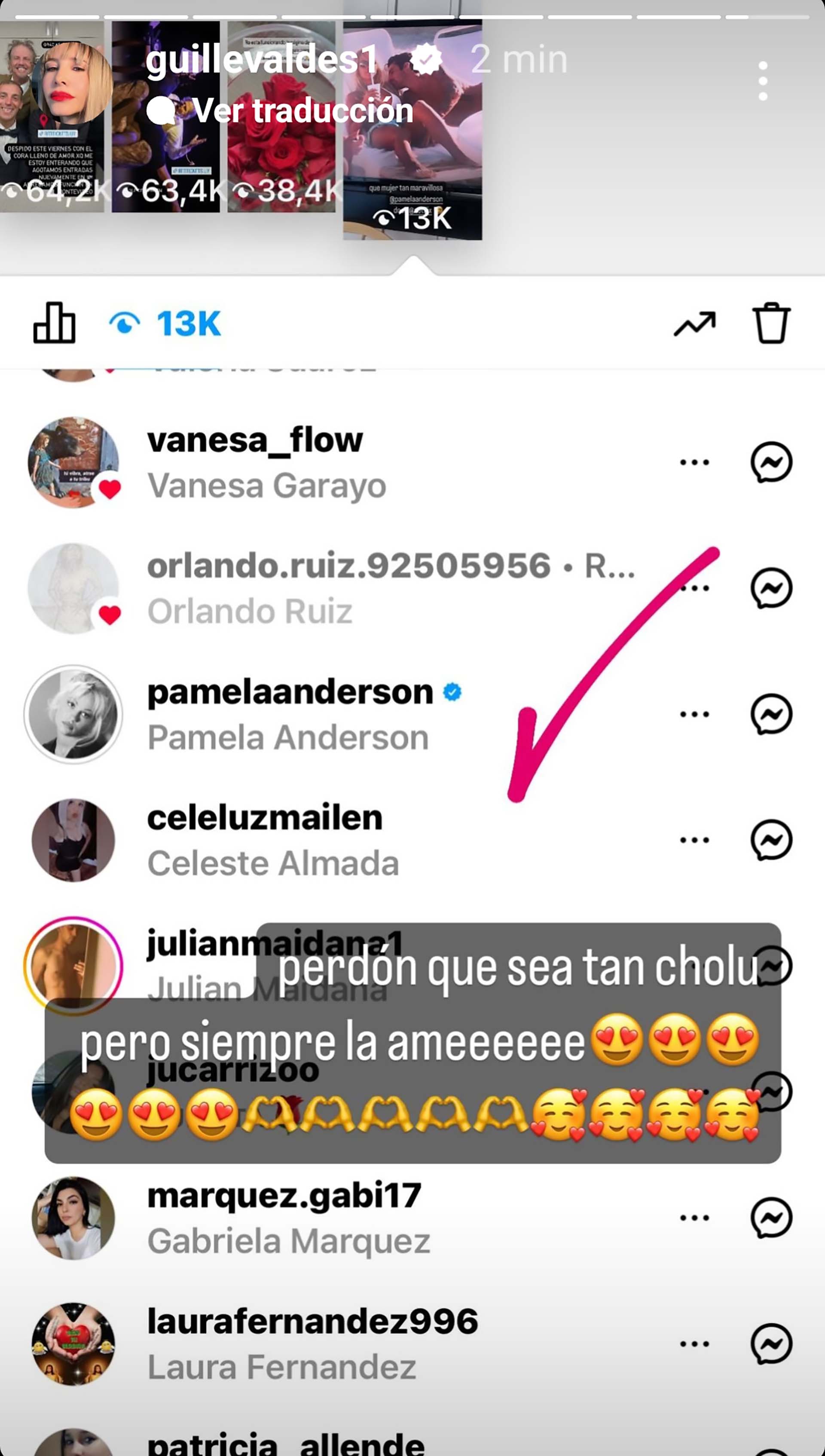 El view de Pamela Anderson