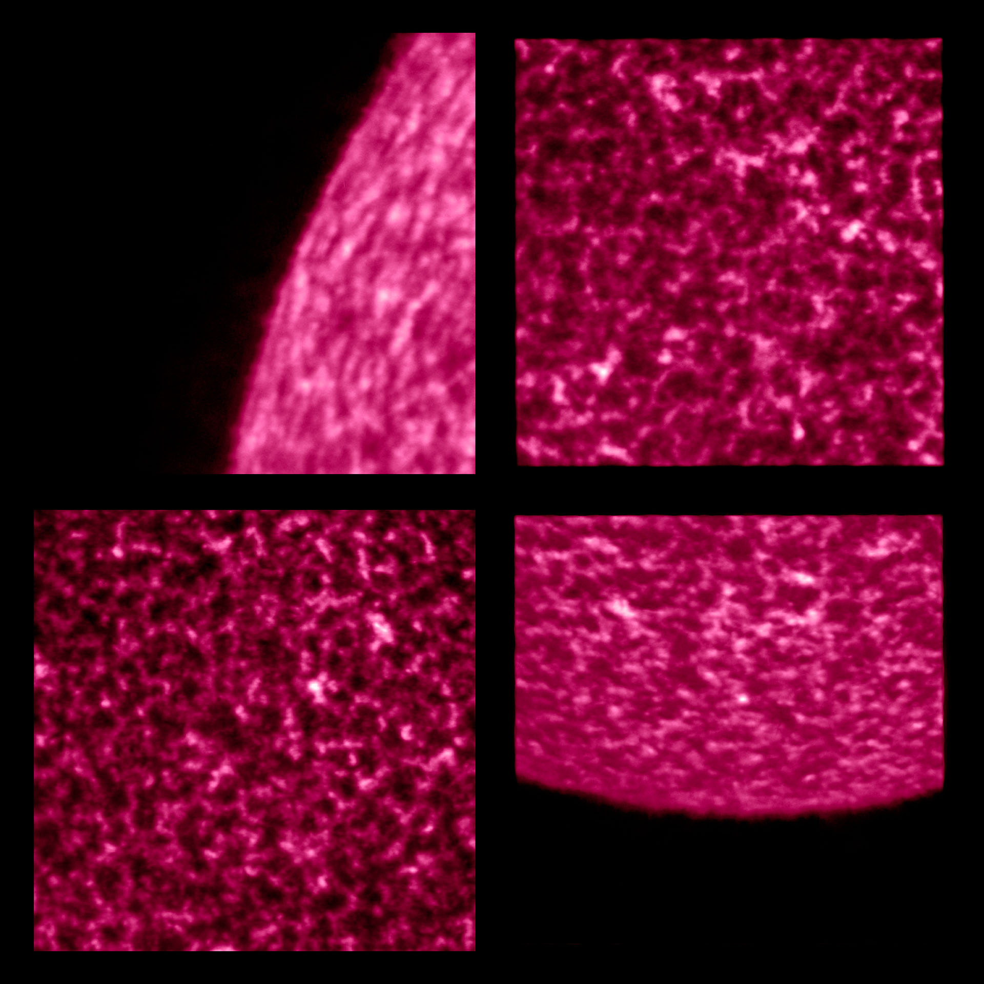 Imágenes solares producidas por el generador de imágenes de alta resolución, el telescopio HRILYA, que forma parte del instrumento Extreme Ultraviolet Imager (EUI), mostrando en una longitud de onda ultravioleta particular que es producida por el hidrógeno, el elemento químico más abundante en el Universo, a bordo de la nave espacial Solar Orbiter (Foto de - / Solar Orbiter / EUI / ESA / NASA / AFP)