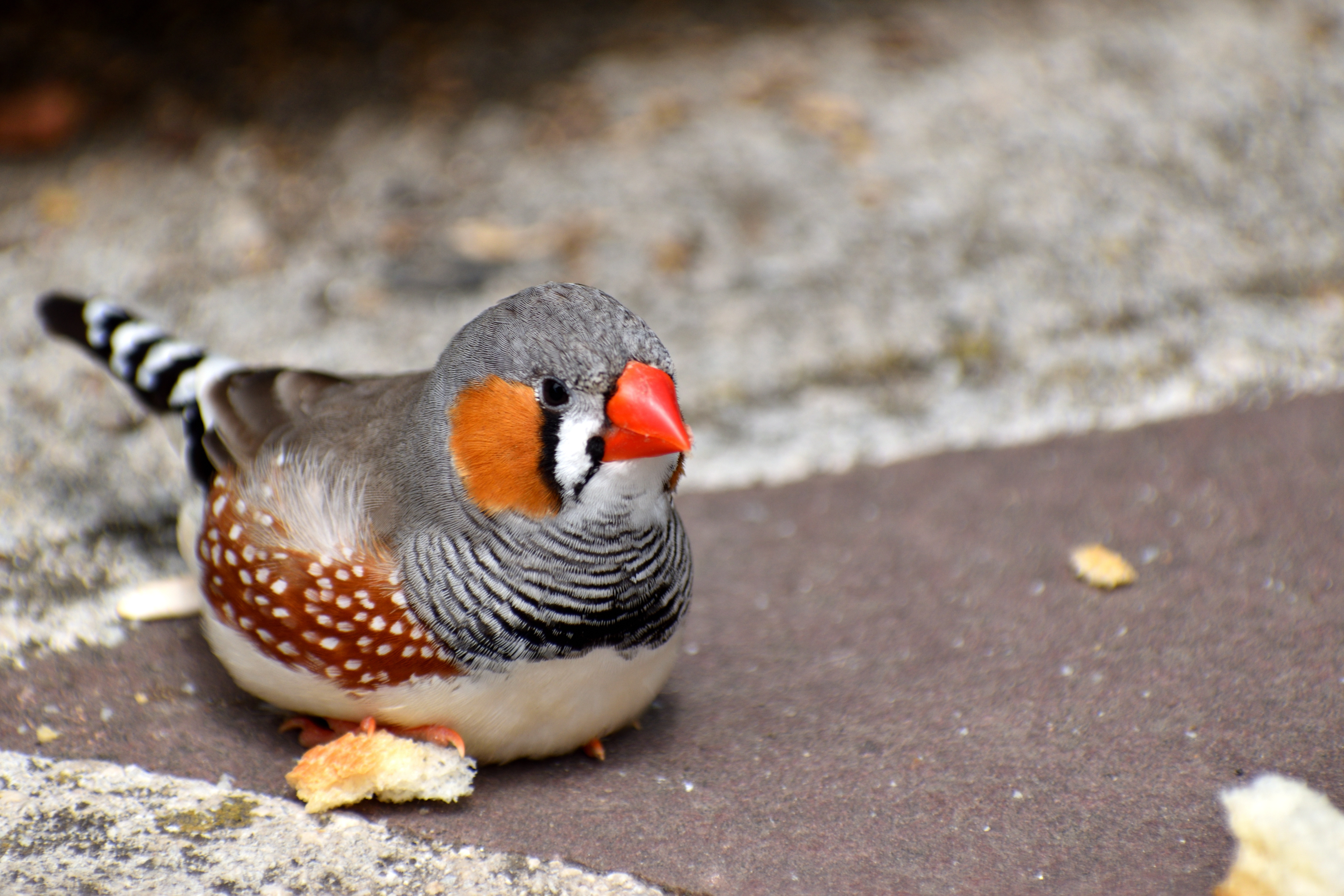 Reforma laboral: se suspendió la reunión de gobernadores que buscaban cambios en Ganancias