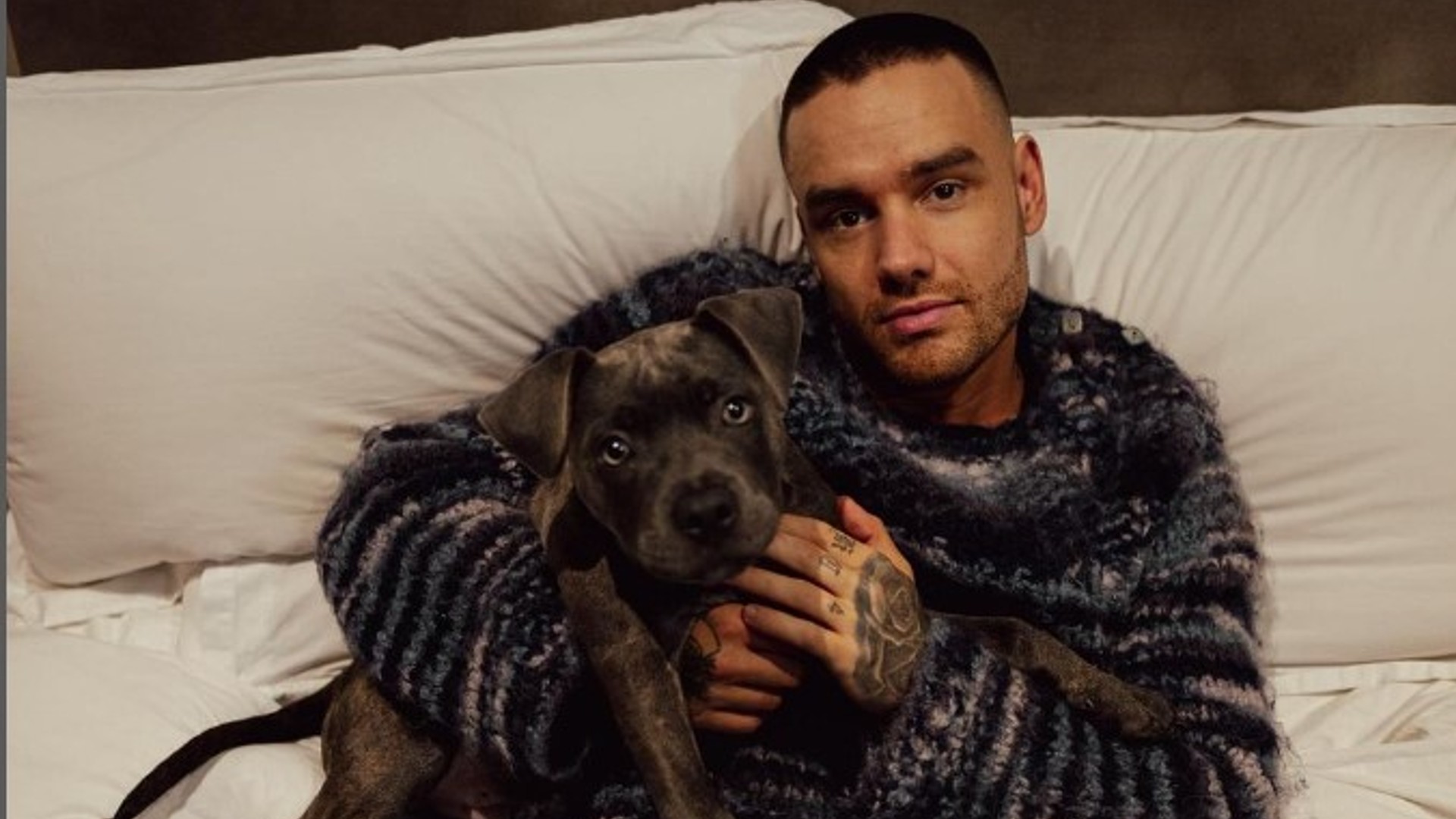 "Nos pidió perdón de rodillas": las declaraciones de las prostitutas que estuvieron con Liam Payne horas antes de su muerte
