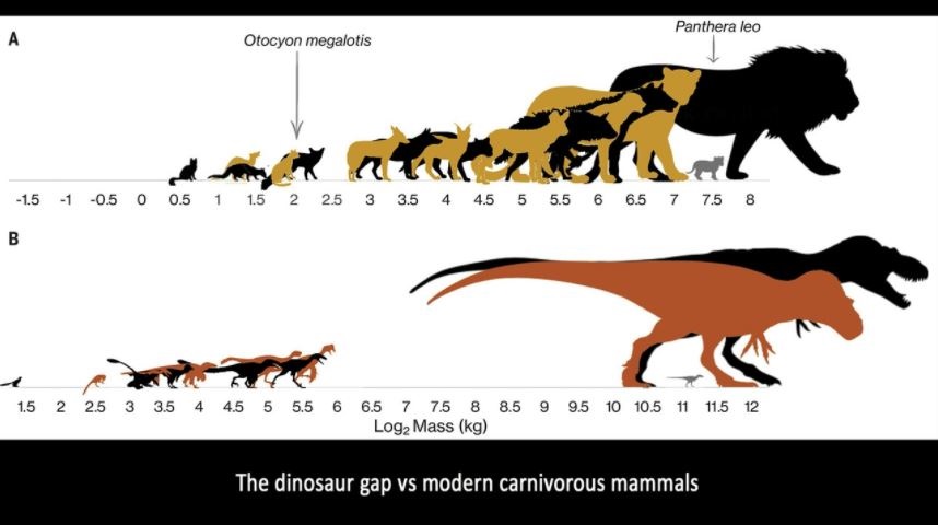 Investigadores Hallaron En Chile Restos De Una Nueva Especie De Mamífero De Hace Más De 72 0030