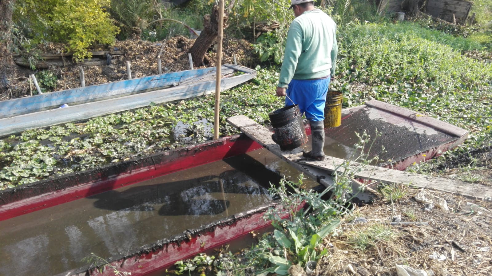 Alonso y su familia se dedican al cultivo de hortalizas y flores de forma agroecológica, de esta forma evitan el uso de pesticidas que dañan al ambiente, a los cultivos y a las personas que lo consumen. (Foto: Cortesía/Alonso Flores productor de Xochimilco)
