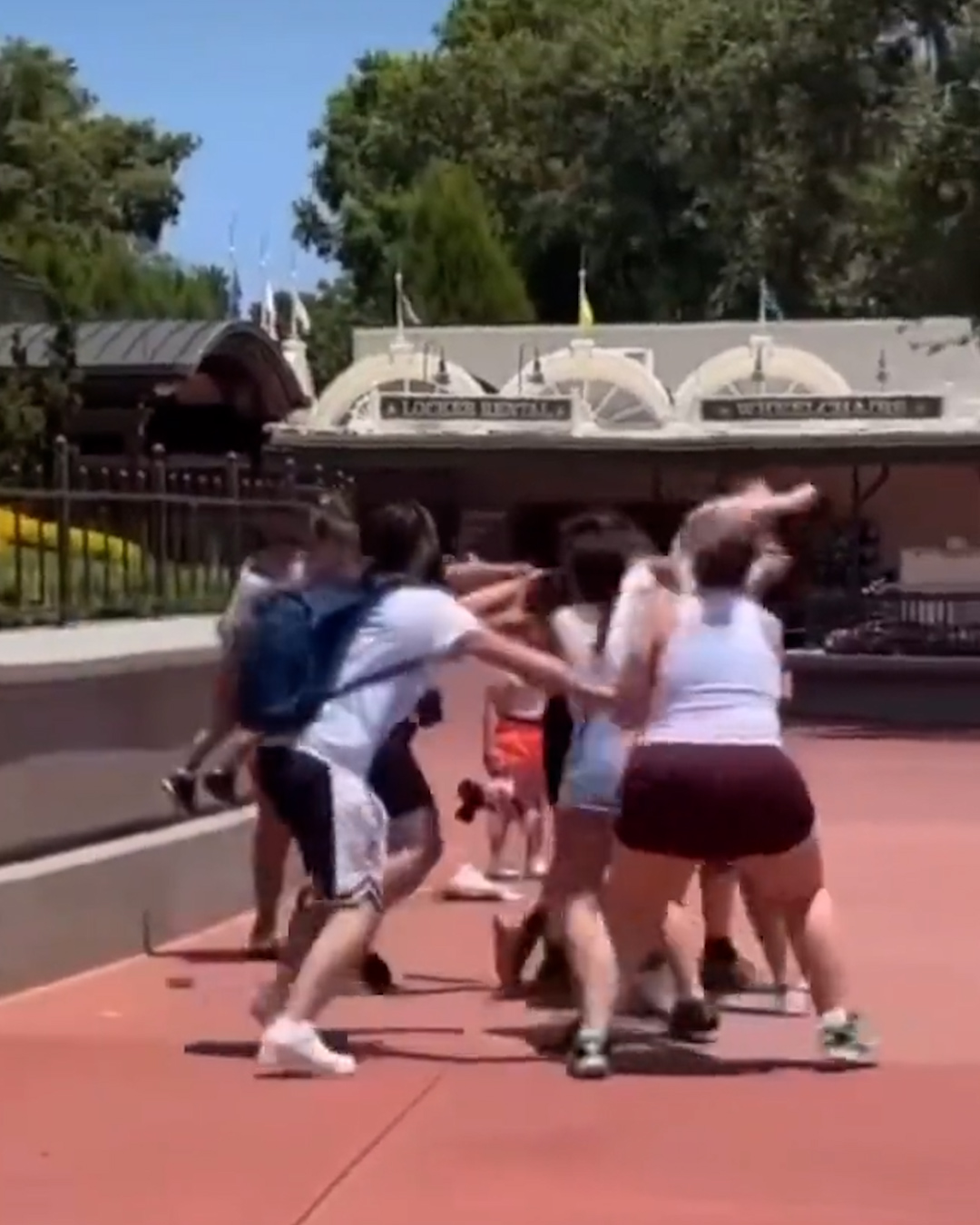 Familias pelean en Walt Disney World