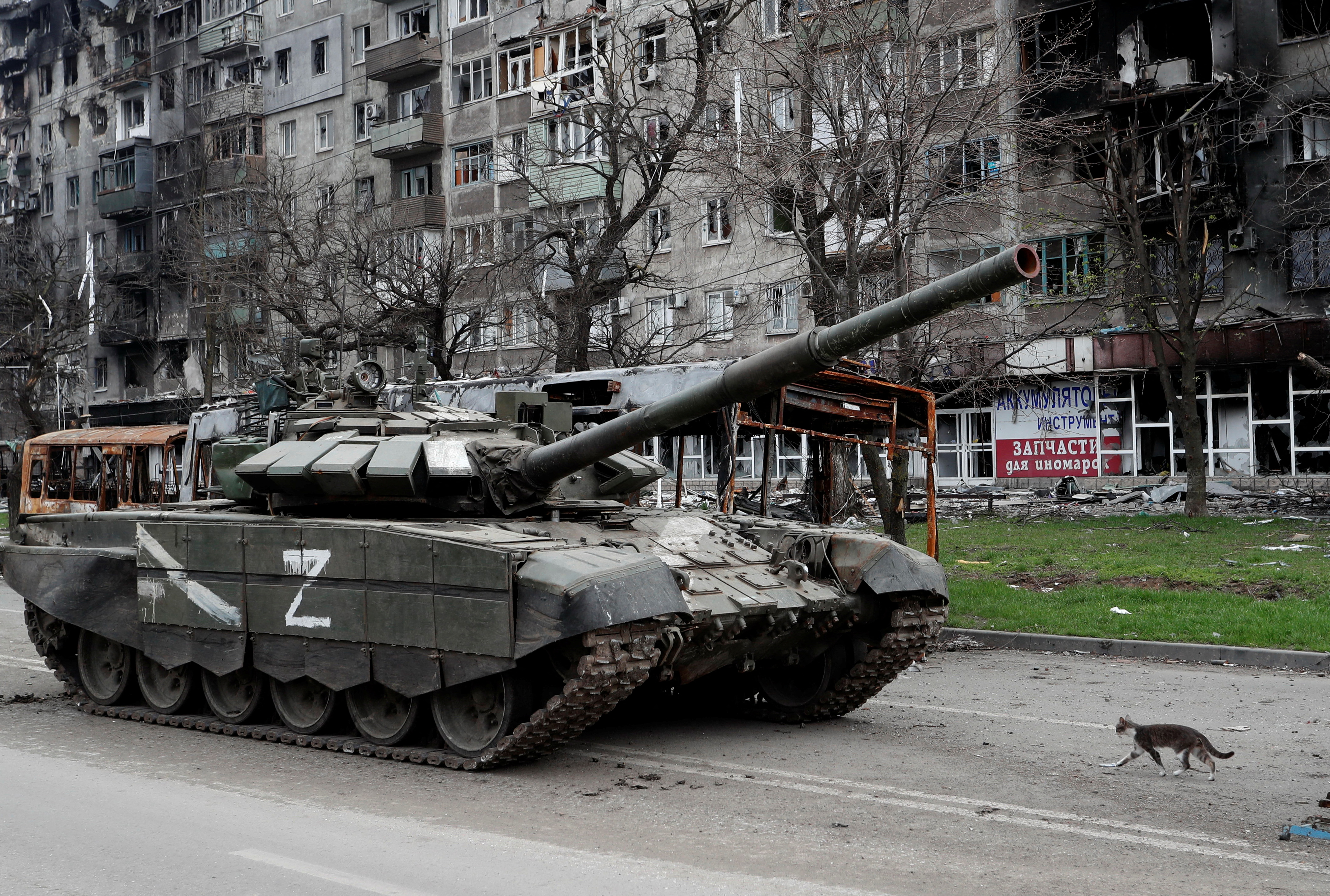 Un gato camina junto a un tanque de tropas prorrusas frente a un edificio de apartamentos dañado durante el conflicto Ucrania-Rusia en la ciudad portuaria sureña de Mariupol, Ucrania, 19 de abril de 2022. (REUTERS/Alexander Ermochenko)