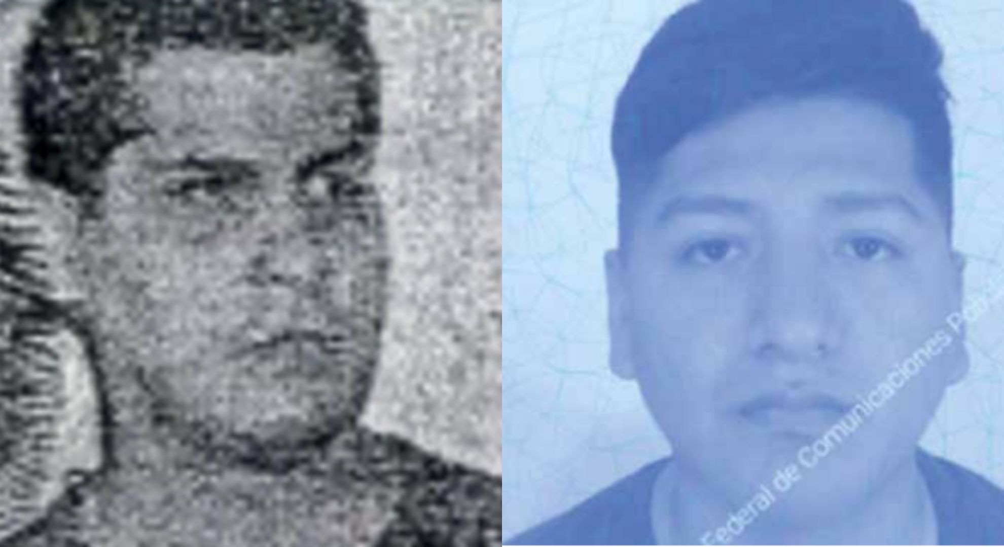 Tras las críticas a Paolo Rocca, Milei acusó a los sectores empresariales “que hacen negocios turbios con el Estado”