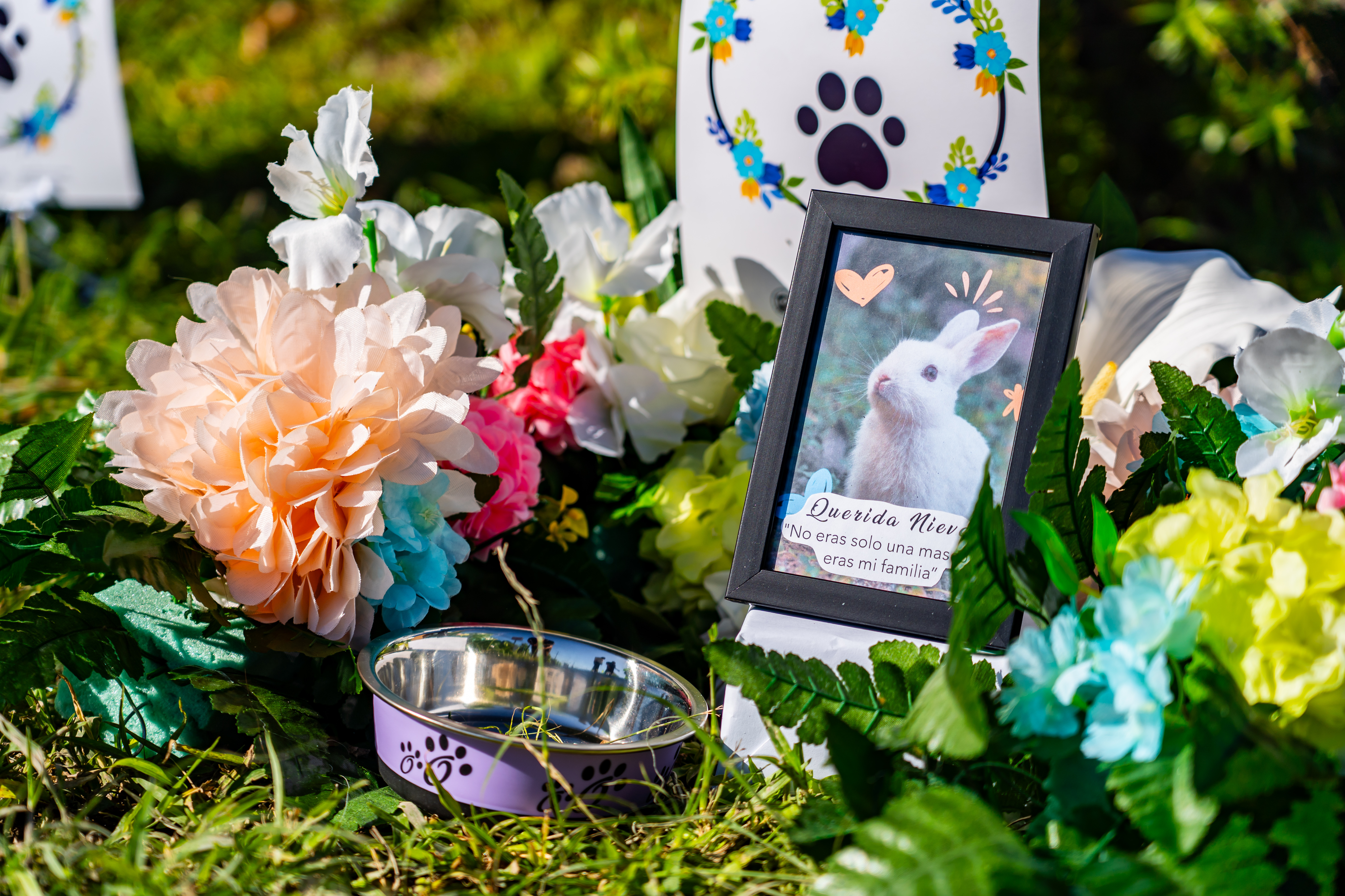 Javier Milei invitó al Papa León XIV para que visite la Argentina: cuáles son las probabilidades y cuándo vendría