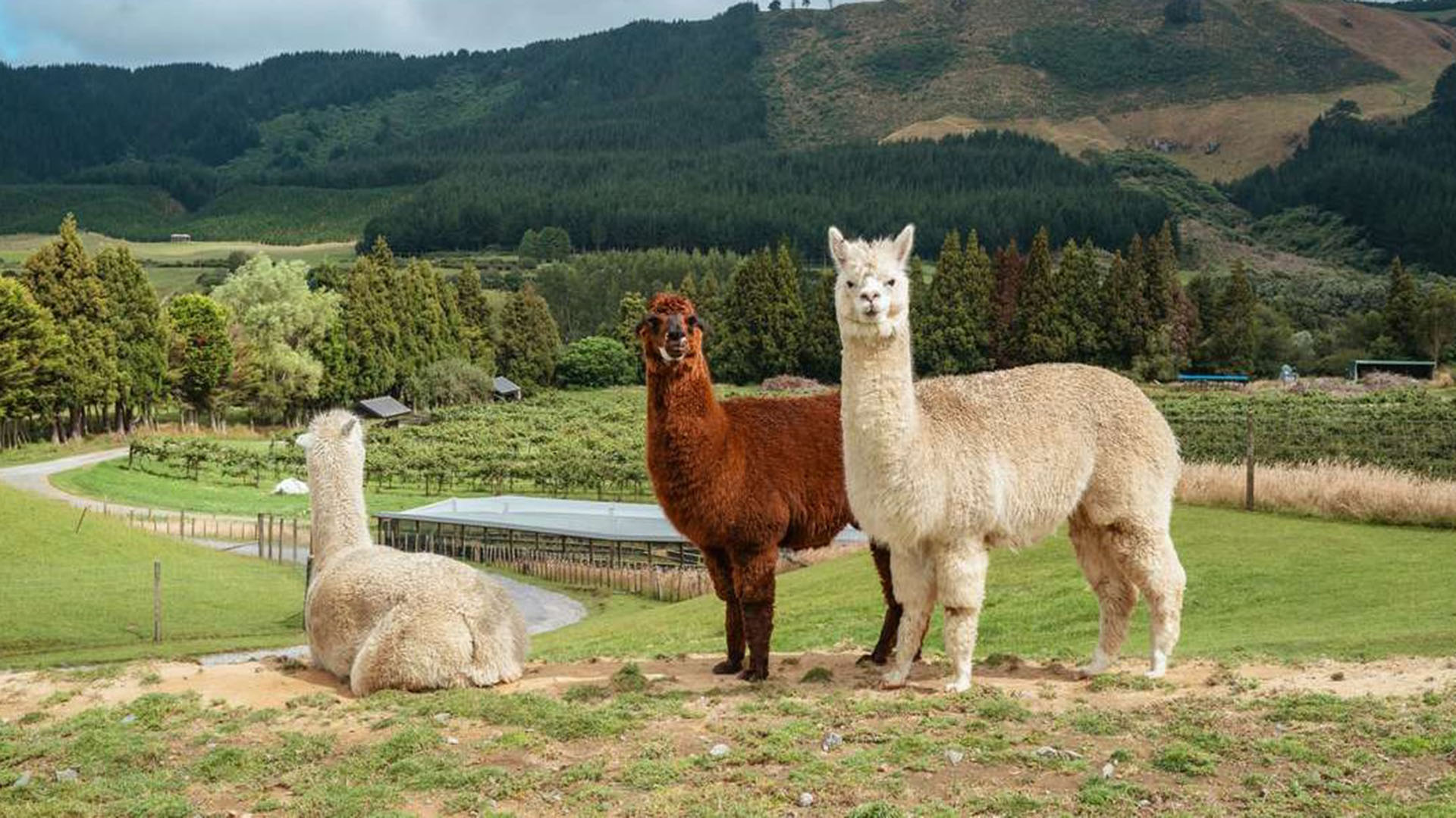 Quiénes son los 9 economistas que le llevaron a Cristina Kirchner propuestas para un “modelo nacional”