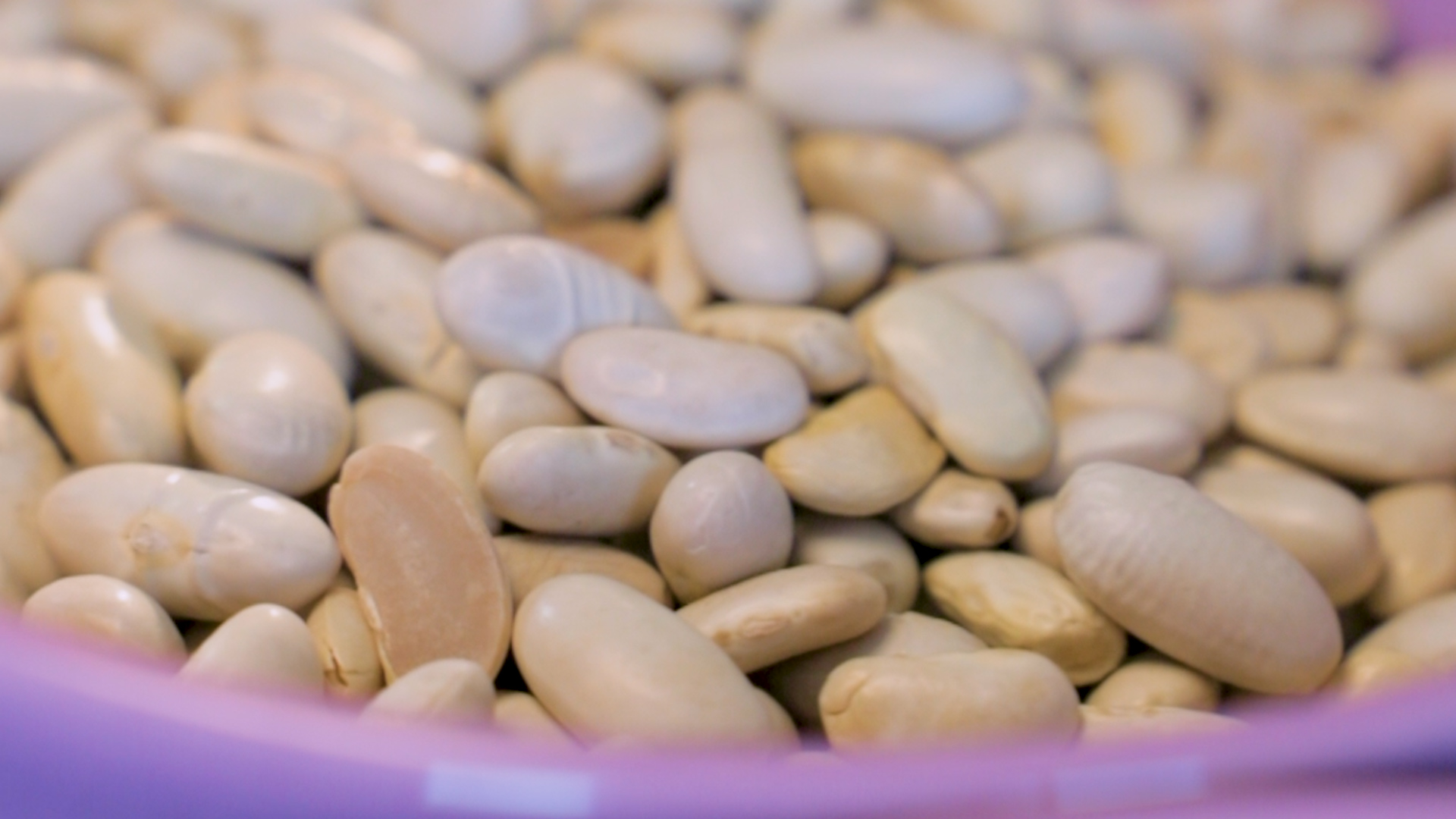 Las legumbres aportarían muchos beneficios contra el colesterol según expertos de Harvard 