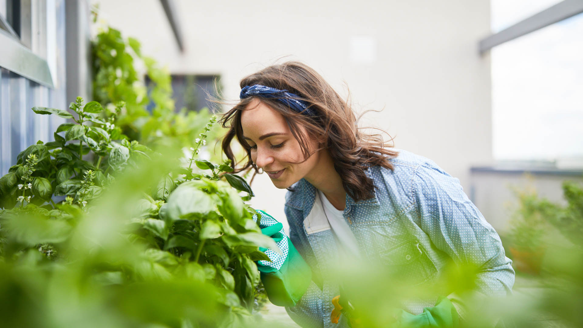 Los investigadores vieron que los participantes que cultivaban un huerto aumentaron su consumo de frutas y verduras (Getty)