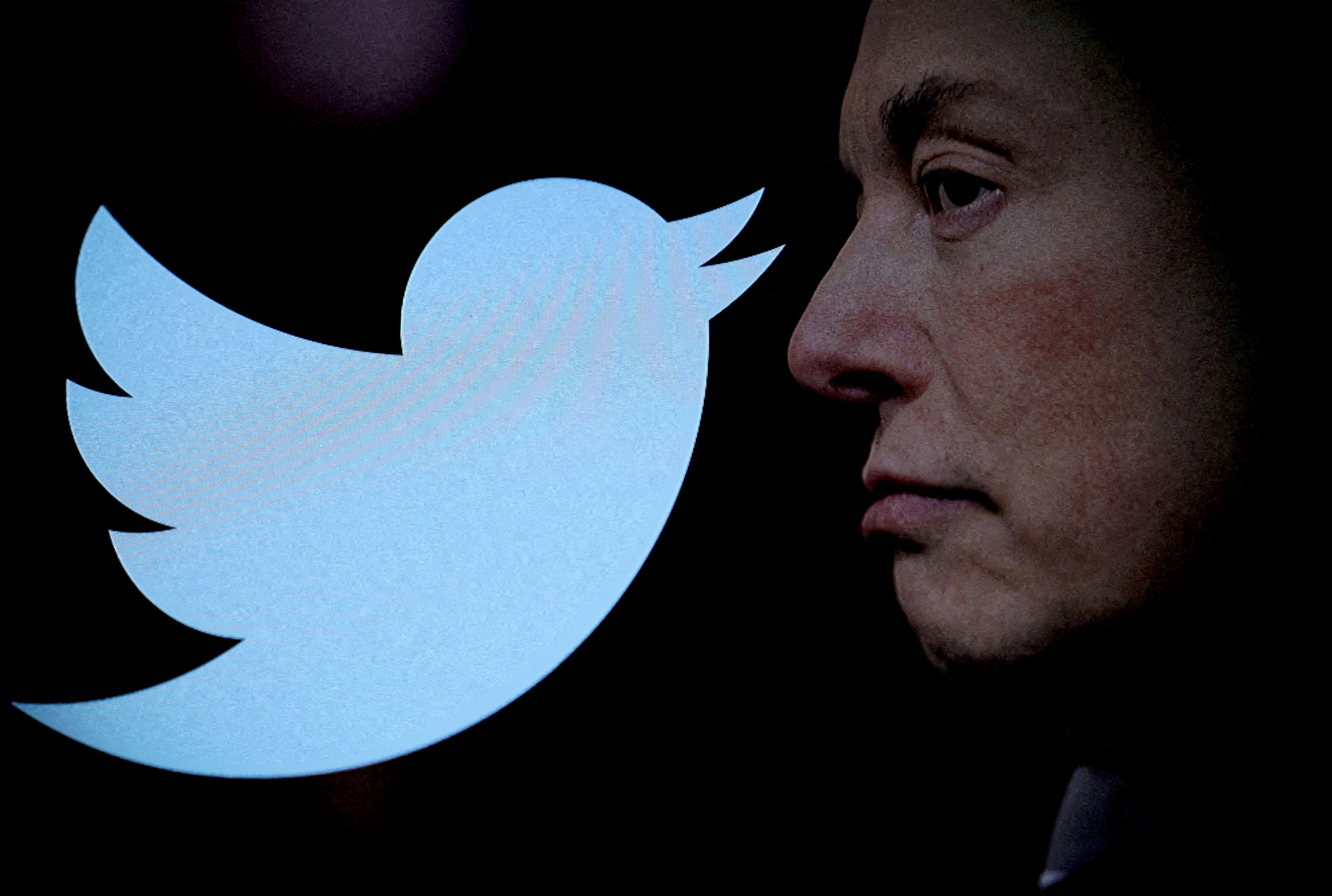 FILE PHOTO: The Twitter logo and image of Elon Musk are viewed through a magnifier in this illustration taken October 27, 2022. REUTERS/Dado Ruvic/Illustration/File Photo