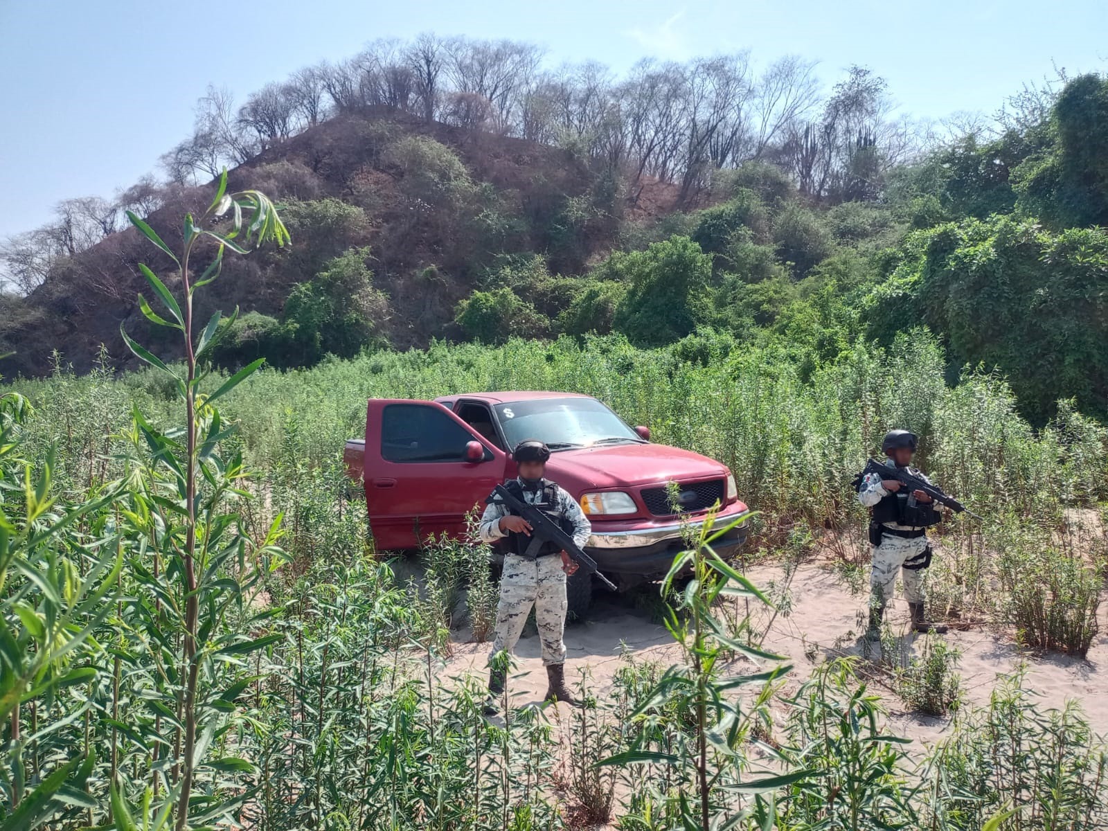 El hallazgo derivó de que los uniformados vieron un vehículo abandonado 
(Foto: Guardia Nacional)