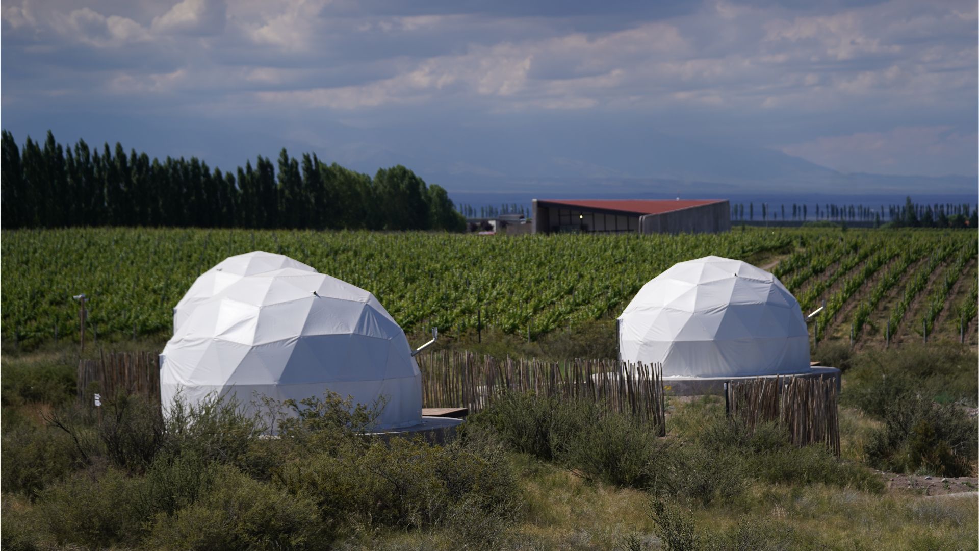 El glamping consiste en una nueva forma de hacer turismo en los viñedos mendocinos (Crédito: Turismo Mendoza)