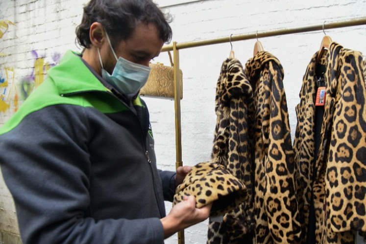 Allanaron un comercio porteño que vendía abrigos de piel de fauna silvestre: costaban hasta un millón de pesos cada uno