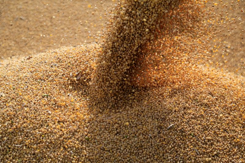 Proyectan que para el presente año serán varios los factores que incidirán en los precios de la soja y los cereales.  (REUTERS/Jorge Adorno)