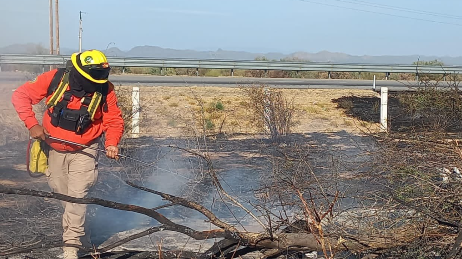 Incendios forestales en Sonora: seis continúan activos 