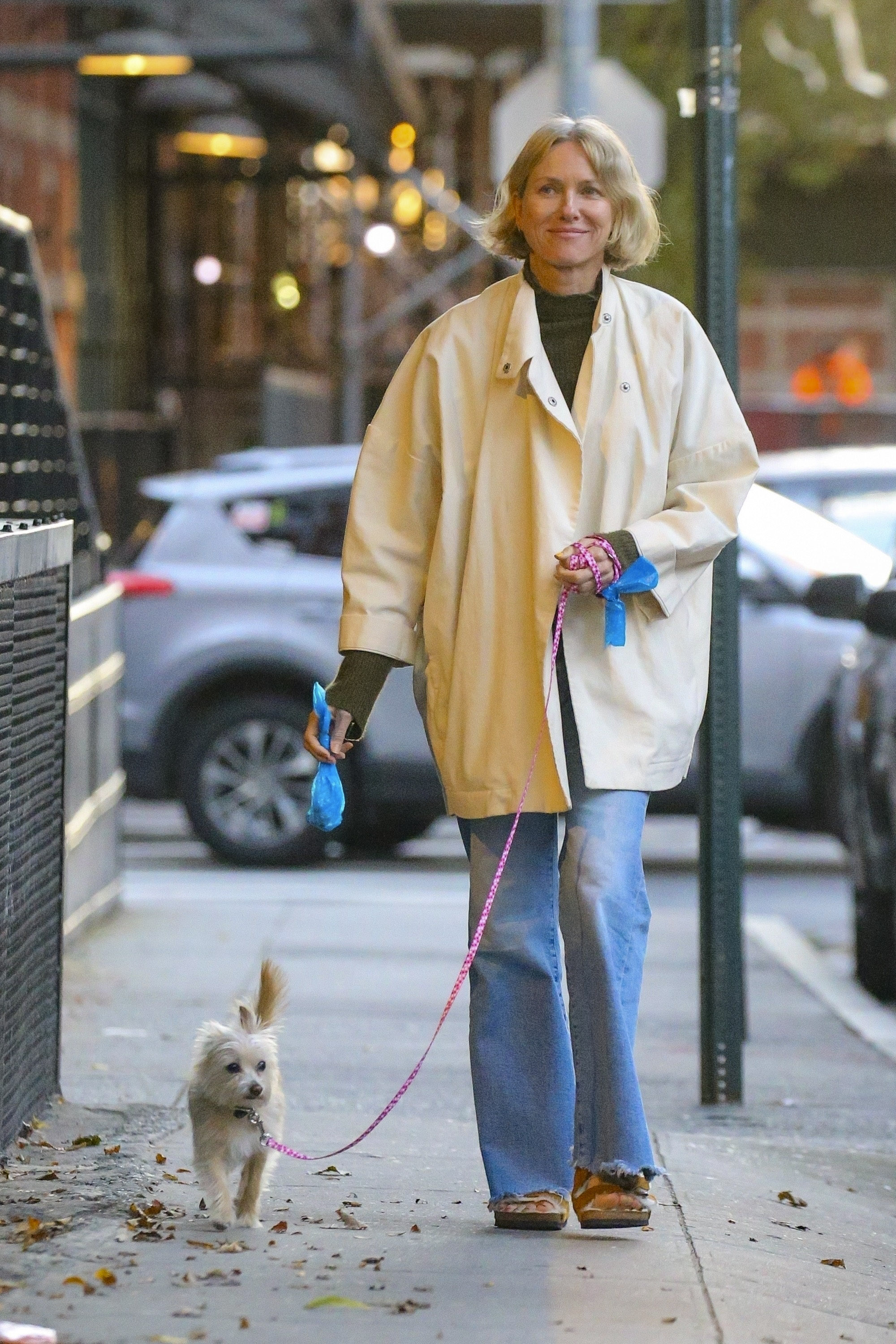Naomi Watts looked super relaxed walking her dog on the streets of New York.  She wore jeans, sneakers and an oversized white jacket.