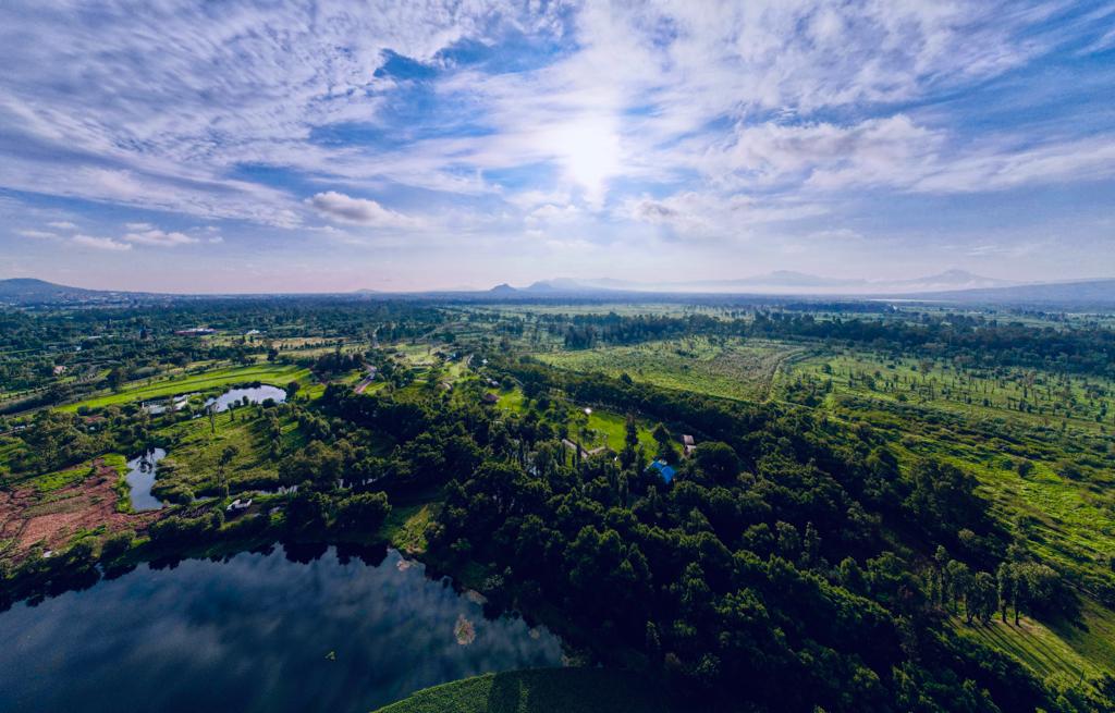 Cdmx Ganó El Premio Como “ciudad Verde Mundial” Por Sus Acciones Para Combatir El Cambio