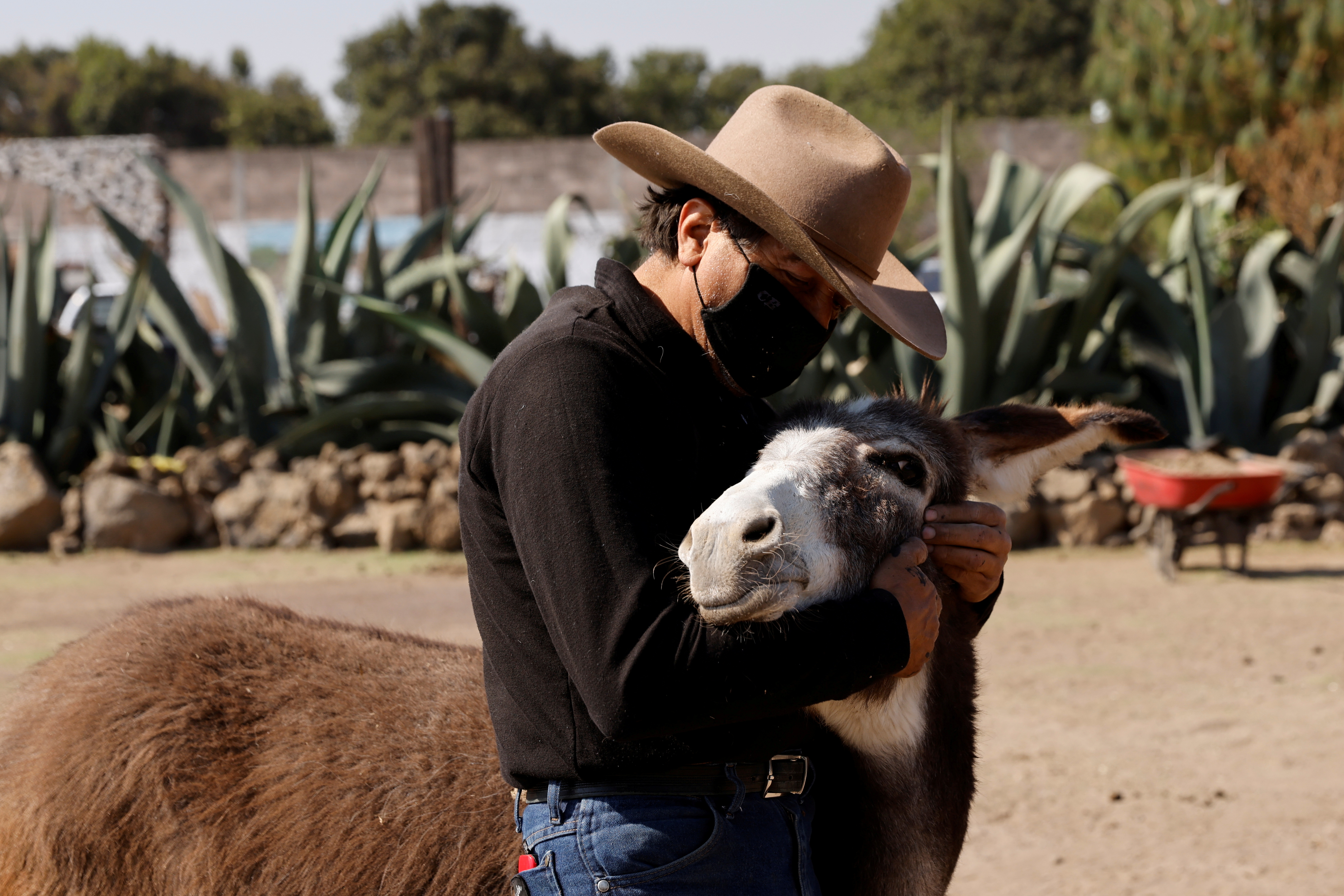 Alcalde panista regala burros a niños para ir a la escuela en Guanajuato  - Página 4 GVNNZVIU3I2E3TBLTNFVDNGXEI