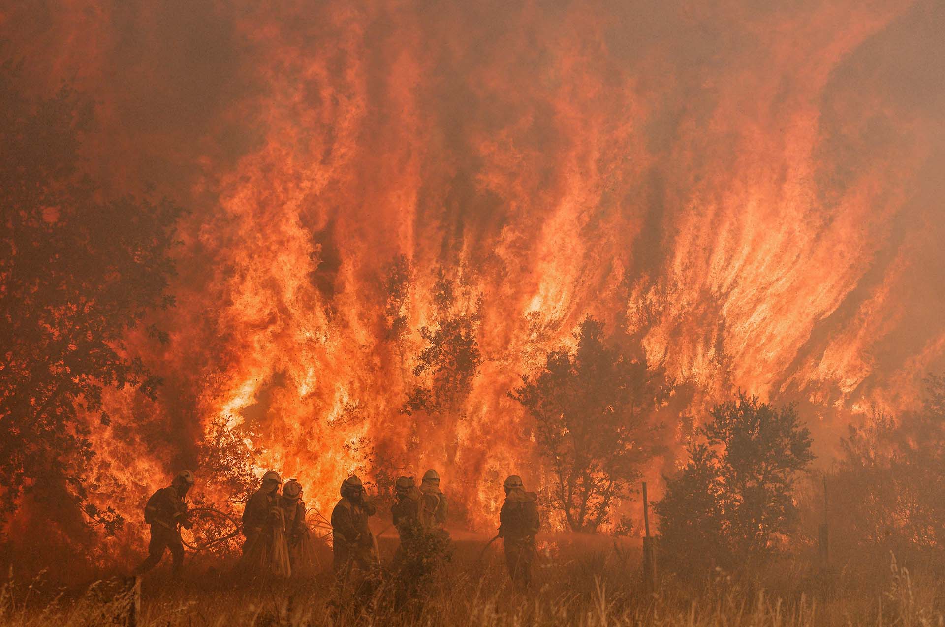 Bomberos españoles luchan contra un incendio en Pumarejo de Tera durante una ola de calor histórica en Europa. 