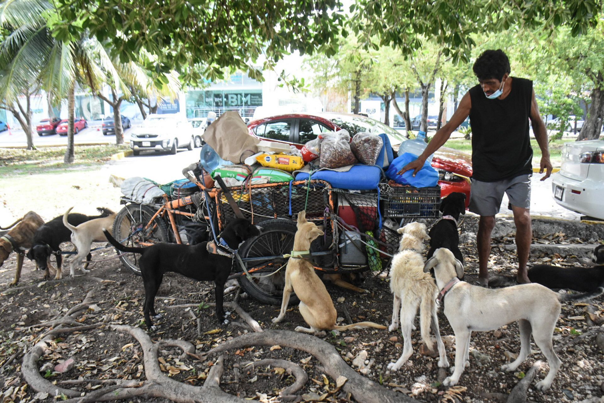 CANCÚN, QUINTANA ROO: Zúñiga llega a estar acompañado en su travesía hasta por más de siete perros que son salvados.   
03SEP2021.
FOTOS ELIZABETH RUIZ/CUARTOSCURO.COM