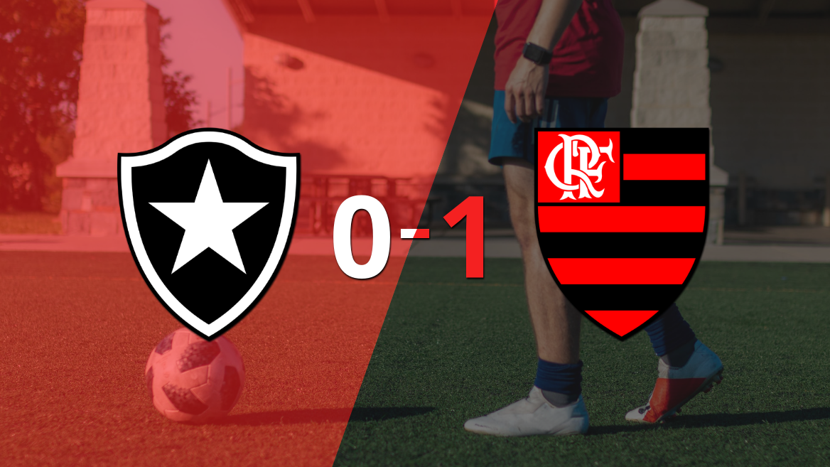 Flamengo le ganó el clásico &quot;da Rivalidade&quot; a Botafogo por 1 a 0