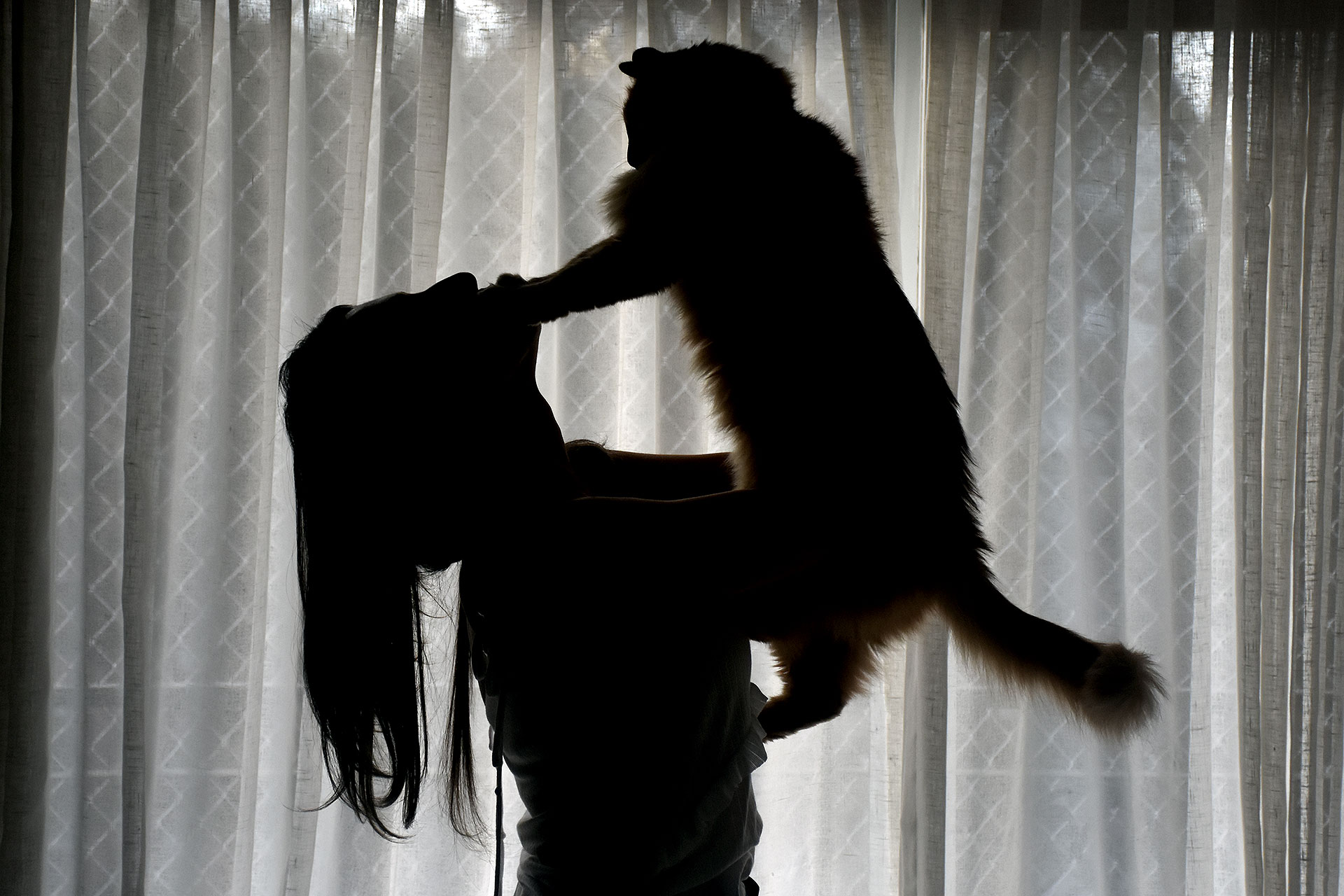 Un amor imperecedero: "El gato no te tiene que querer, te quiere si tiene motivo", dice Nai Osepyan (Crédito: Nicolas Stulberg)