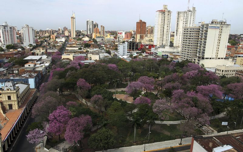 File image of lapachos, the national tree of Paraguay, blooming in Asunción, Paraguay. August 20, 2012. REUTERS/George Adorno/File