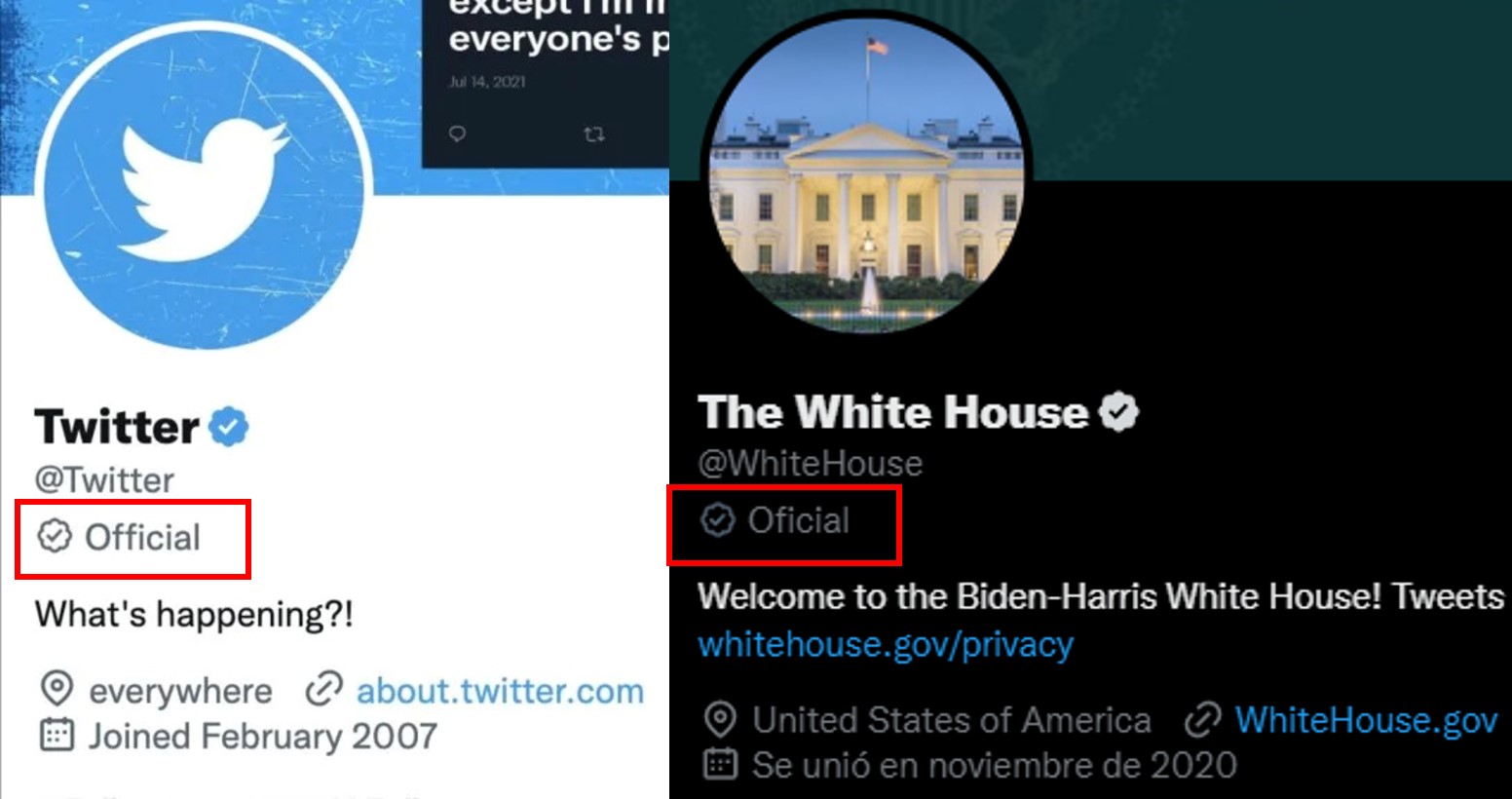 Twitter habilita la verificación gris para estos usuarios - Infobae