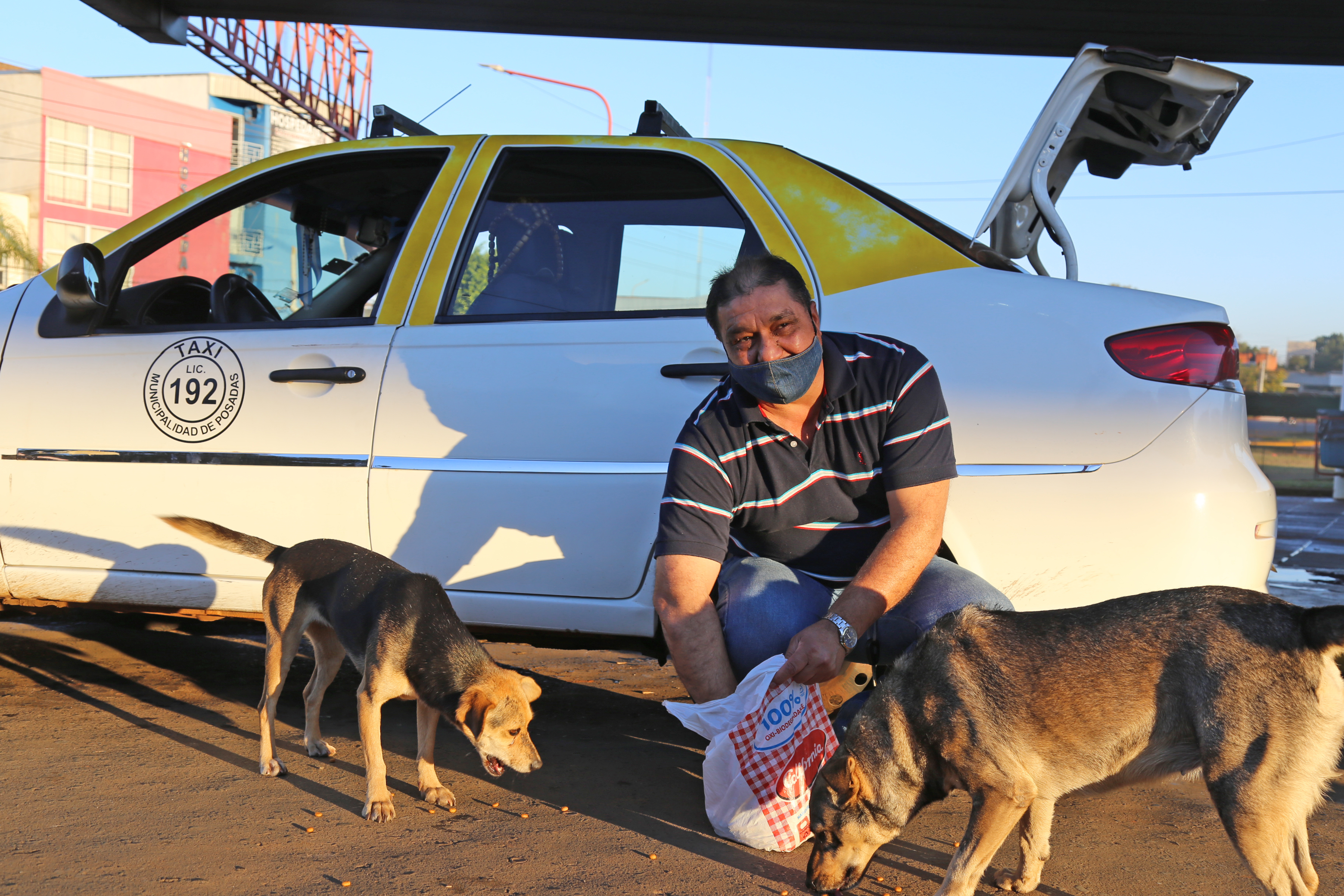 se permiten perros en los taxis negros