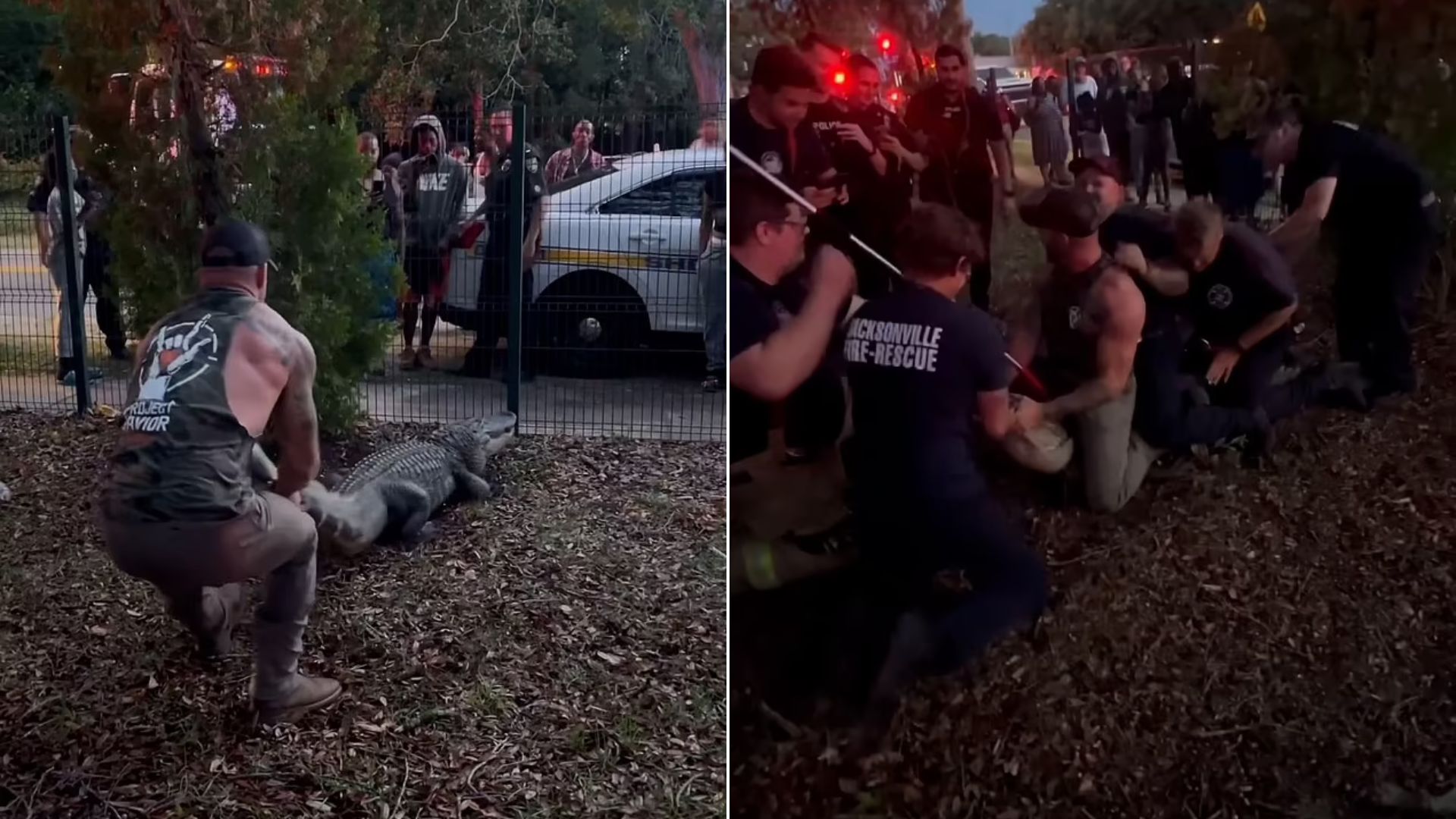 Un luchador de MMA peleó contra un caimán y lo venció sentándose sobre sus hombros
