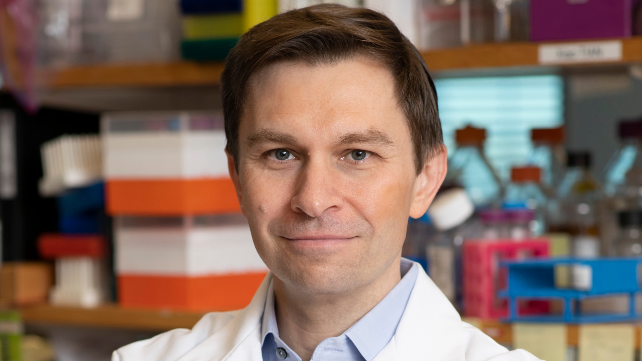 El primer ensayo en humanos para frenar el envejecimiento comenzará pronto”,  afirmó el doctor David Sinclair de Harvard - Infobae